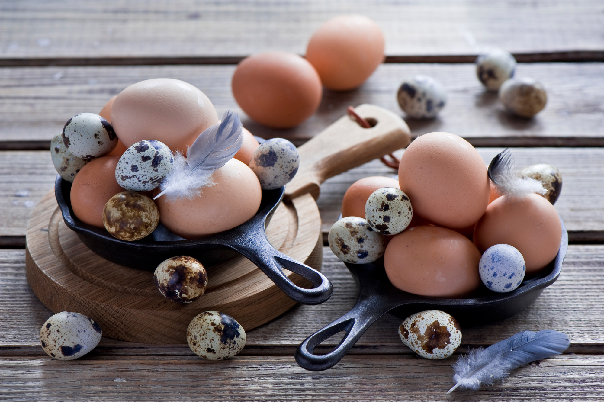 Eggs quail eggs, food, chicken eggs, feather Lock Screen