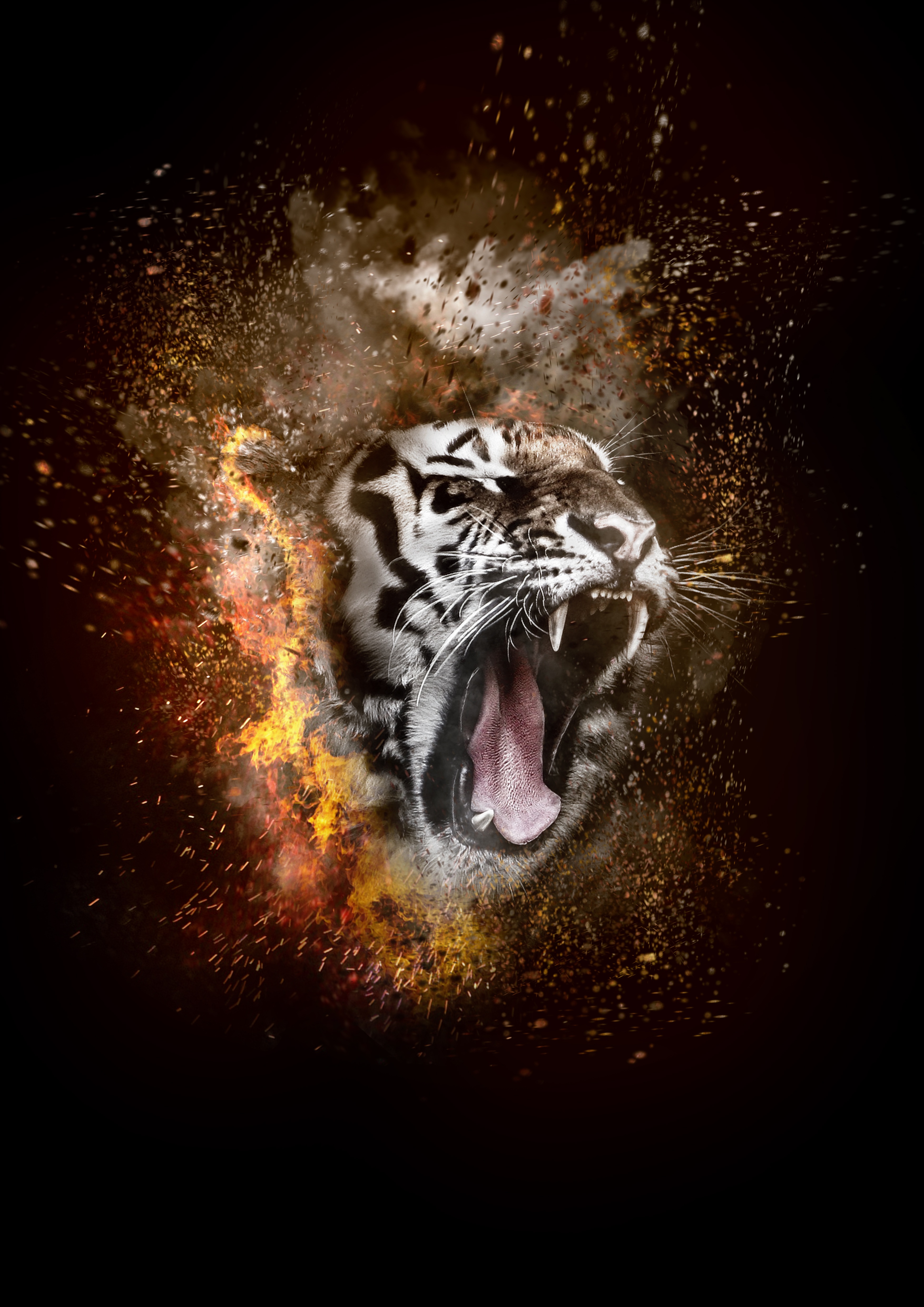 127942 download wallpaper fire, animals, grin, tiger, photoshop screensavers and pictures for free