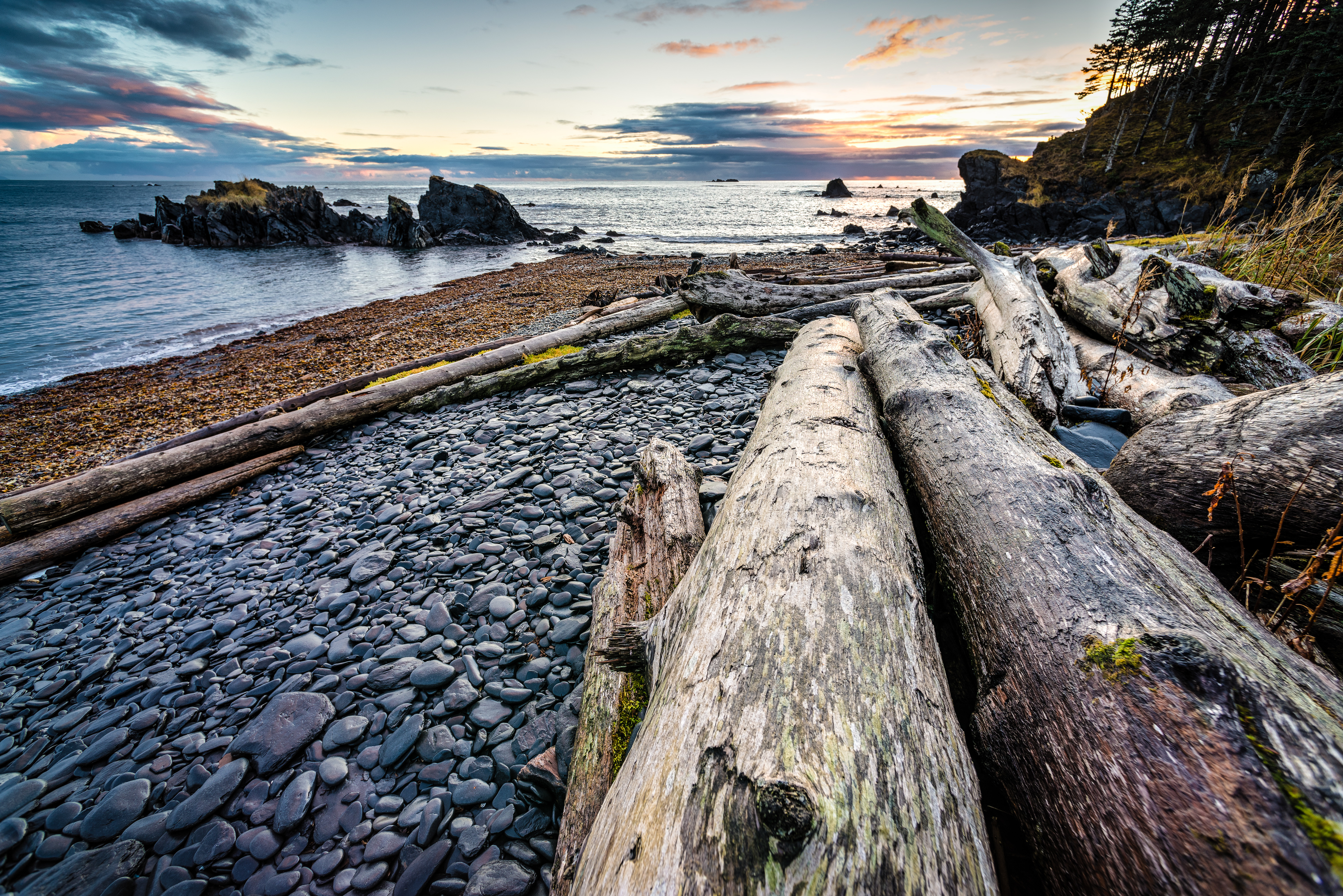 coast, nature, logs, sunset New Lock Screen Backgrounds