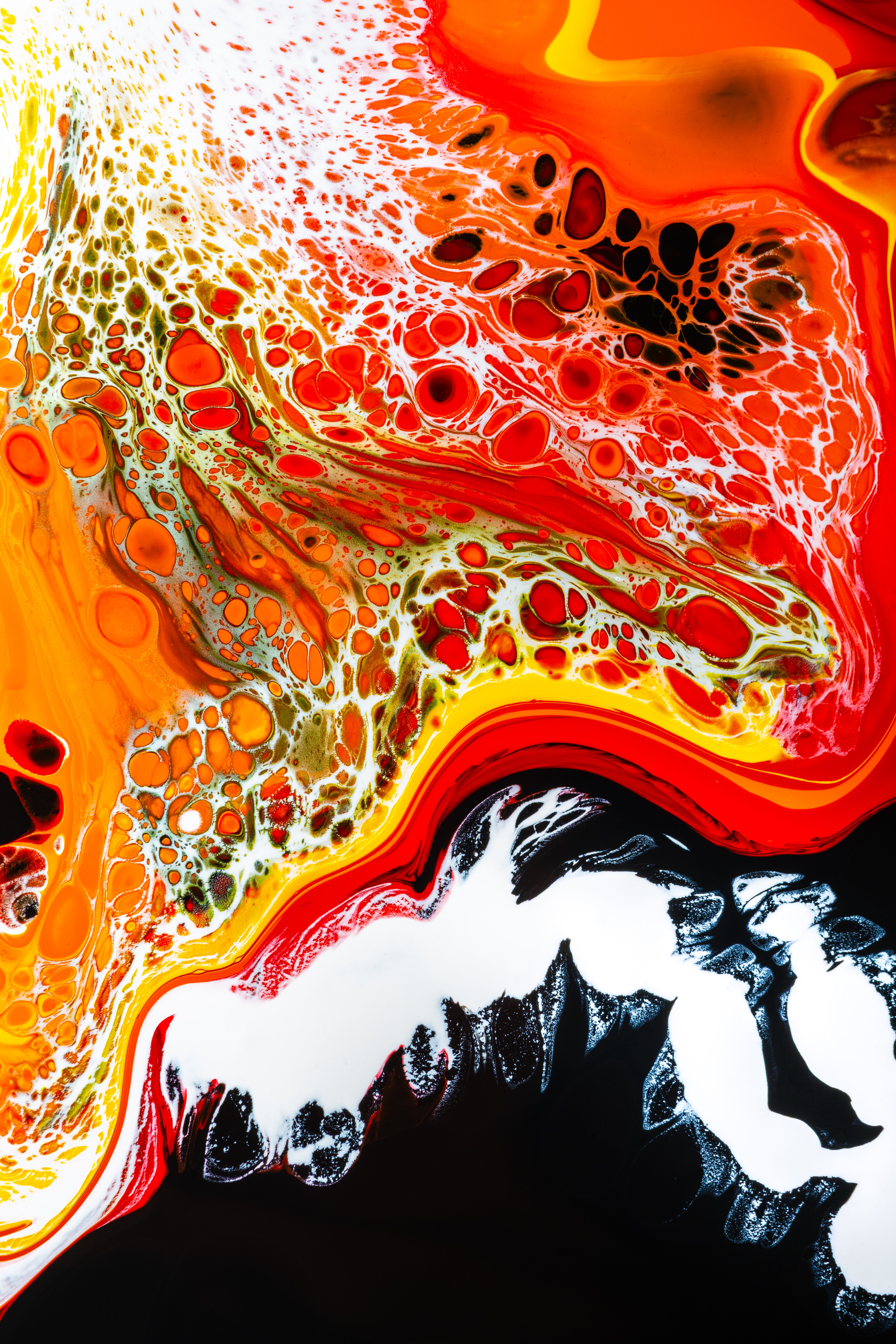 77116 Bild herunterladen abstrakt, scheidungen, mehrfarbig, motley, farbe, flüssigkeit, mischen - Hintergrundbilder und Bildschirmschoner kostenlos
