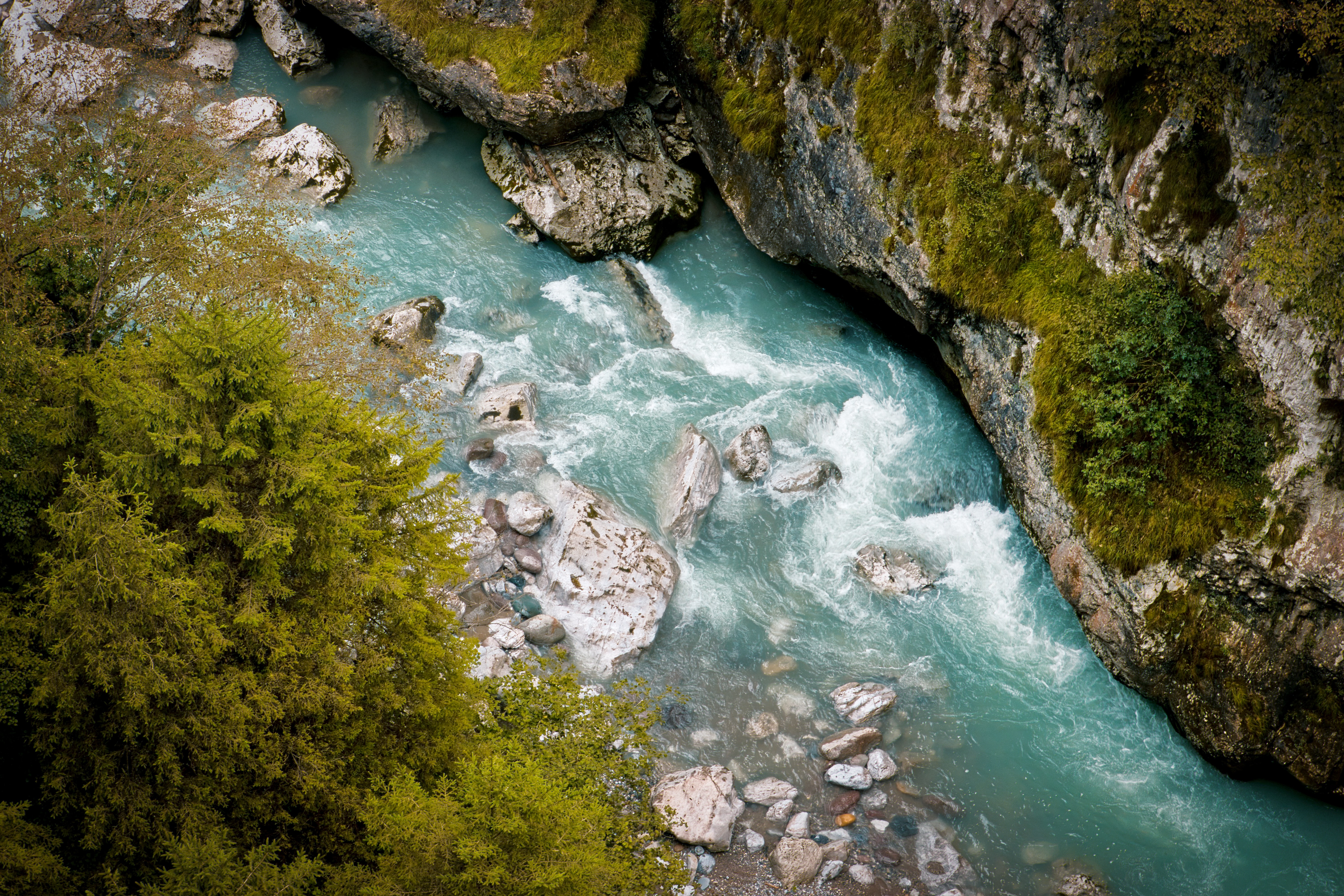 view from above, nature, rivers, trees, rocks 8K