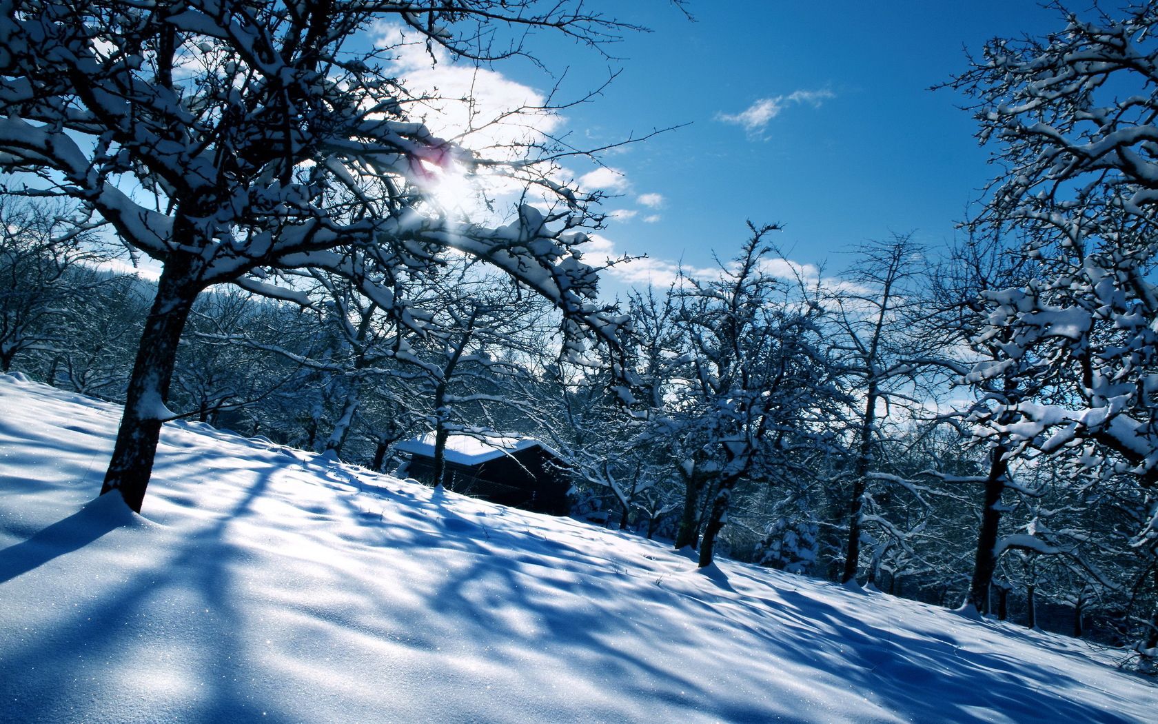 53625 Bild herunterladen winter, natur, schnee, weiß, scheinen, brillanz, haus, garten, driften, driftet, cover, schleier - Hintergrundbilder und Bildschirmschoner kostenlos