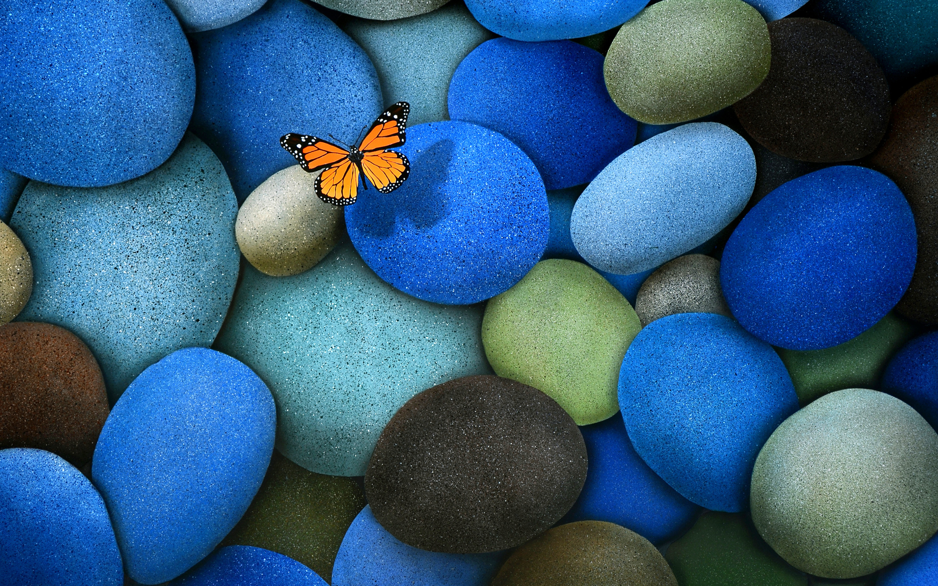 butterfly, animal, stone for android