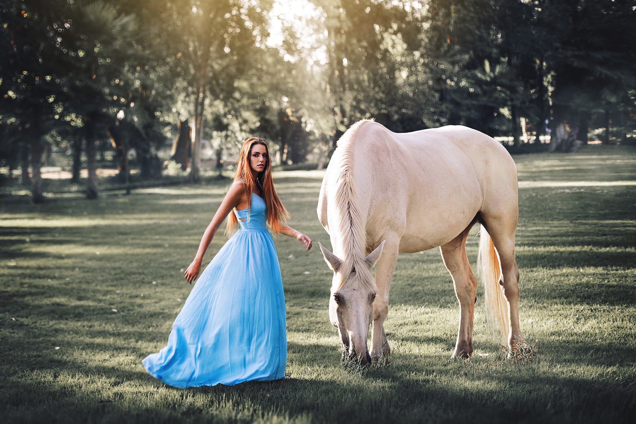 Девушка на лошади в платье