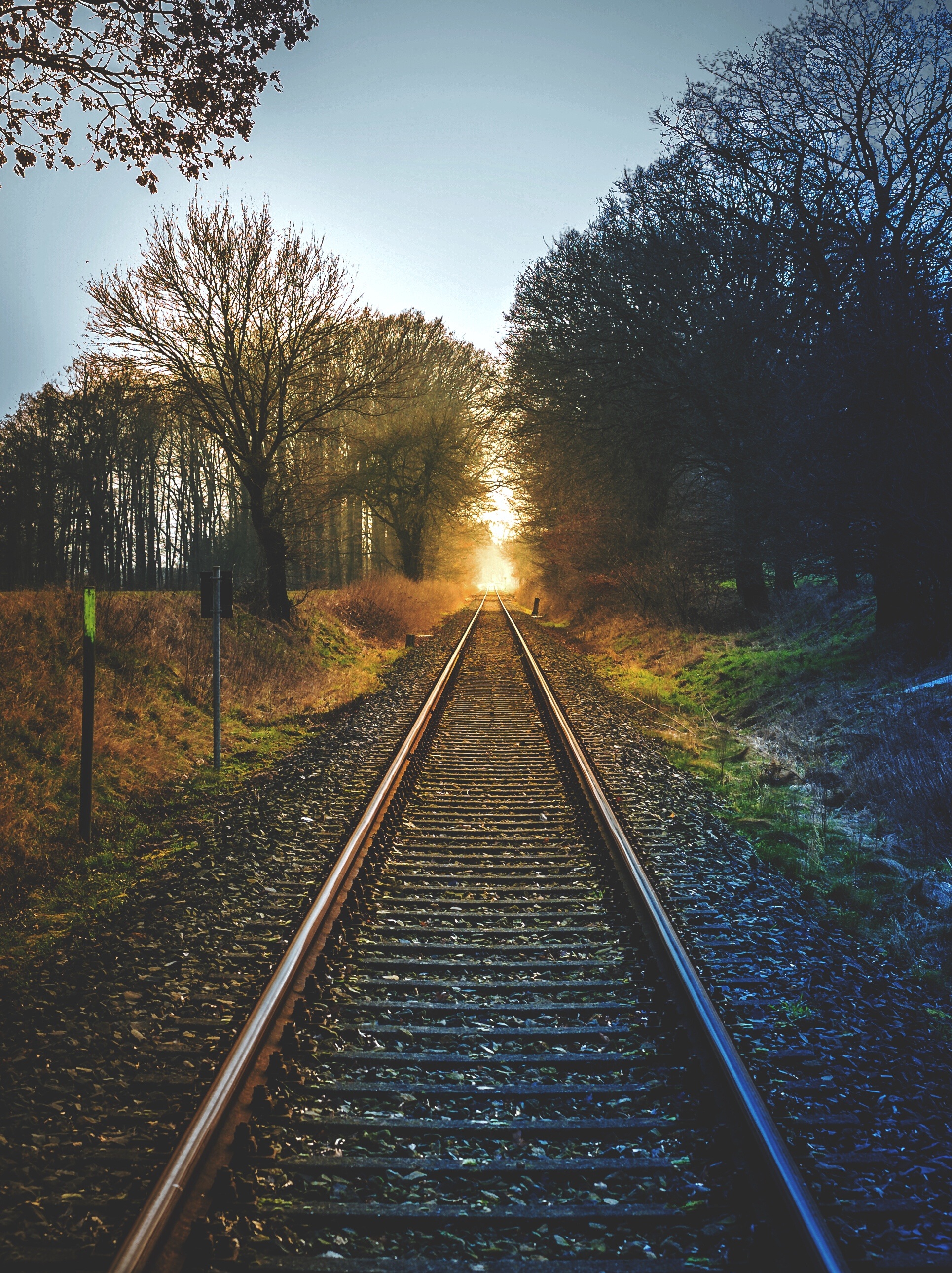 railway, sunset, nature, trees for android