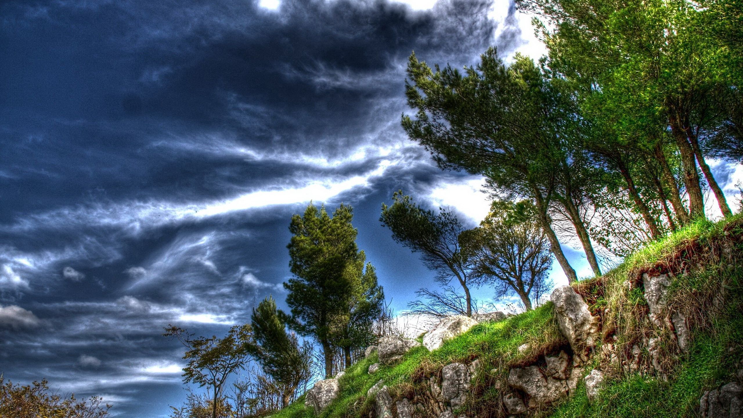 70043 Hintergrundbild herunterladen natur, bäume, sky, clouds, unterbrechung, abgrund, luft - Bildschirmschoner und Bilder kostenlos