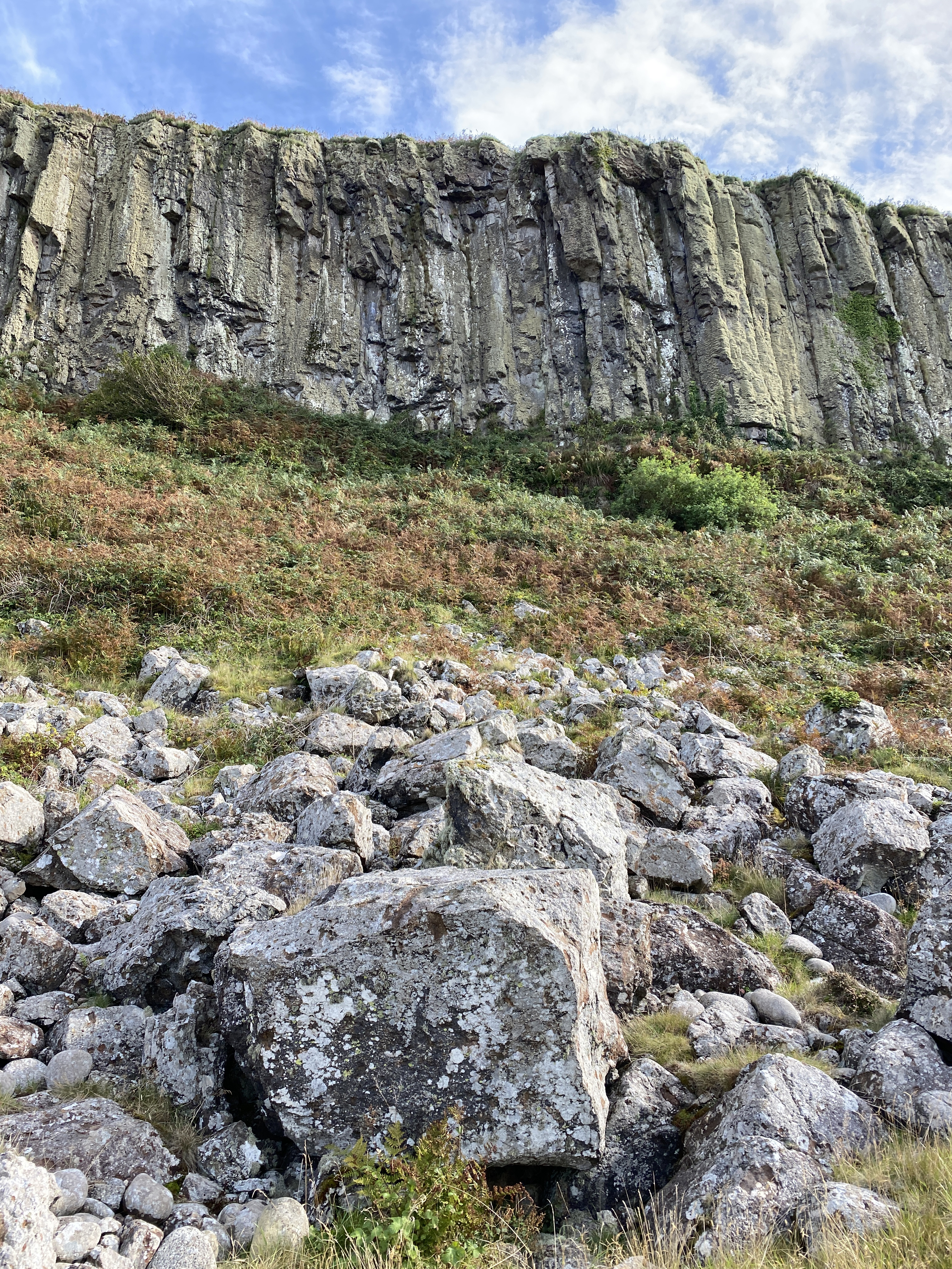 cliff, nature, stones, bush, rock Free Stock Photo