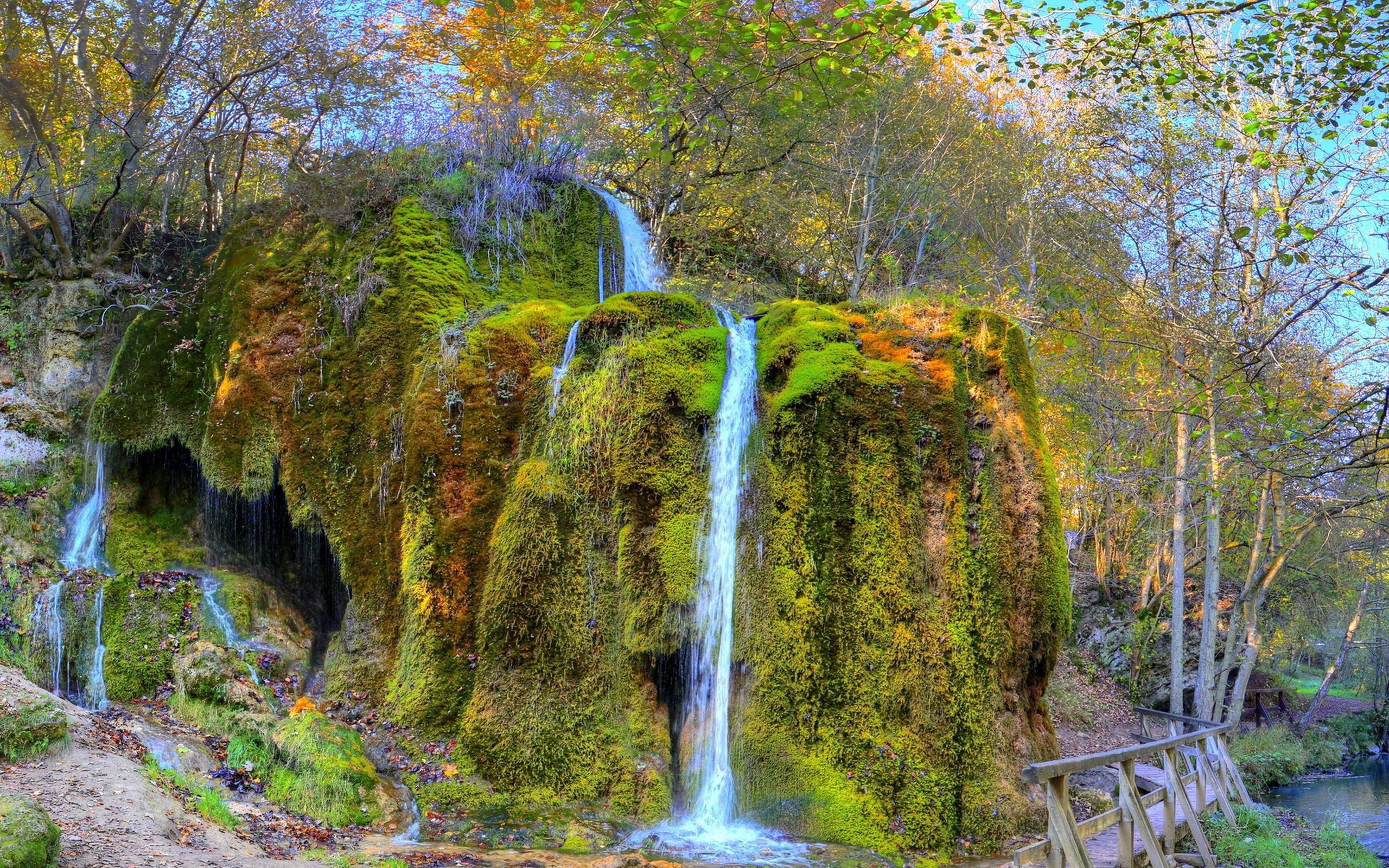 Laden Sie das Wasserfall, Natur, Bäume, Grass, Schaum-Bild kostenlos auf Ihren PC-Desktop herunter