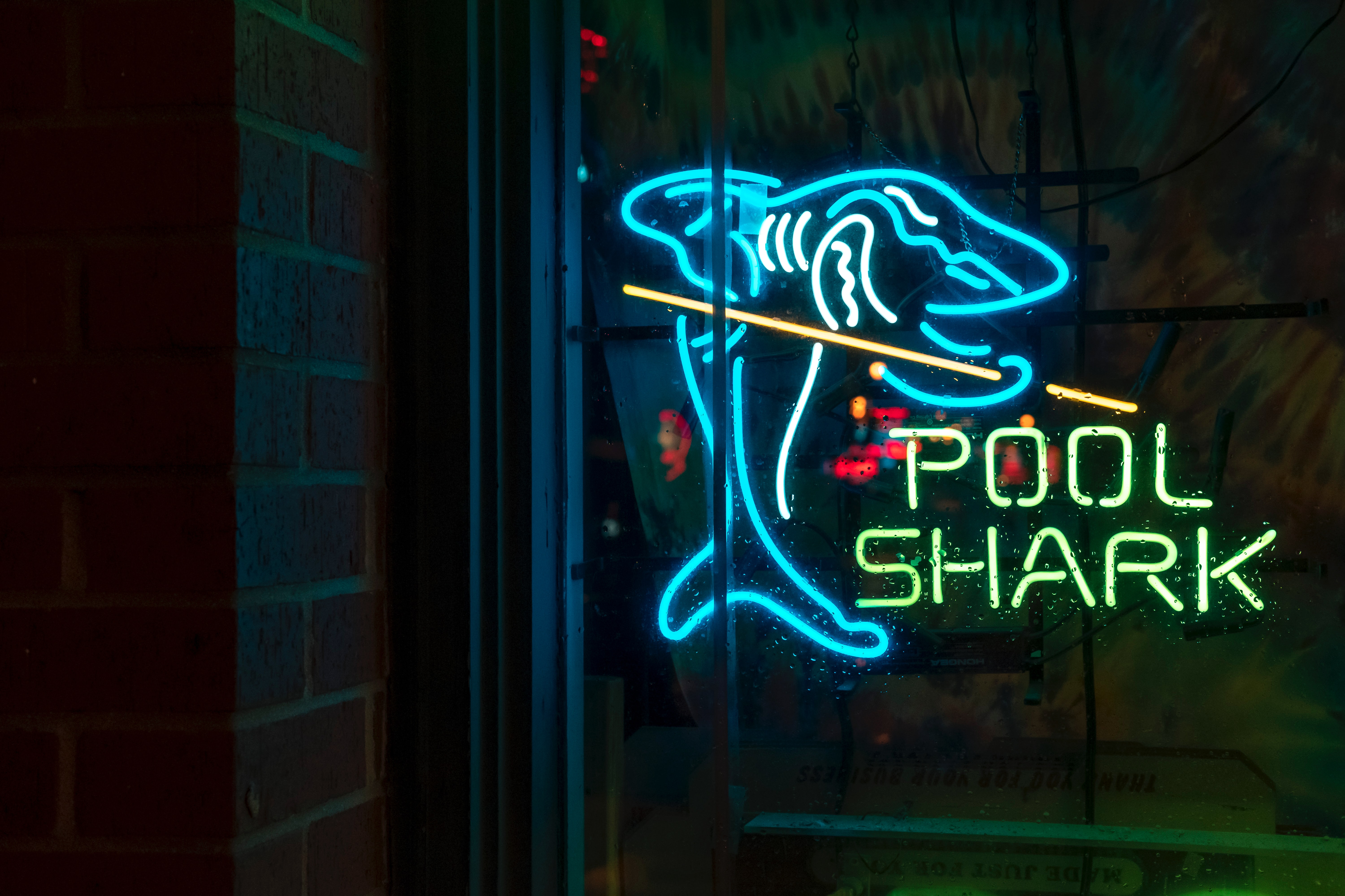 neon, words, inscription, shark
