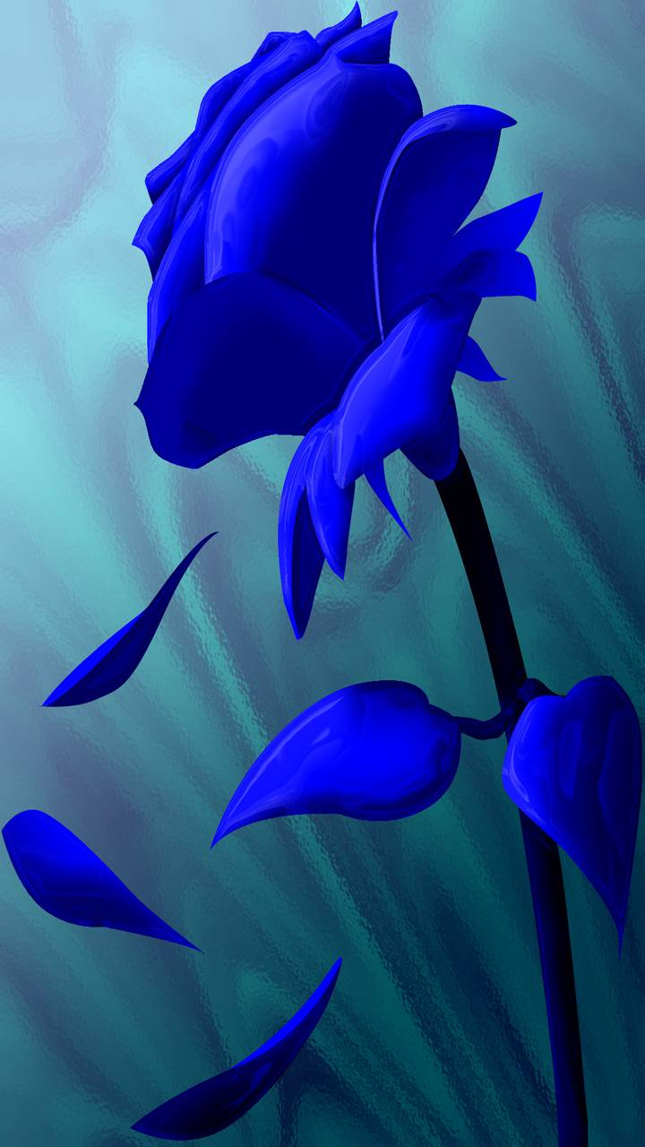 rose, blue rose, flower, artistic