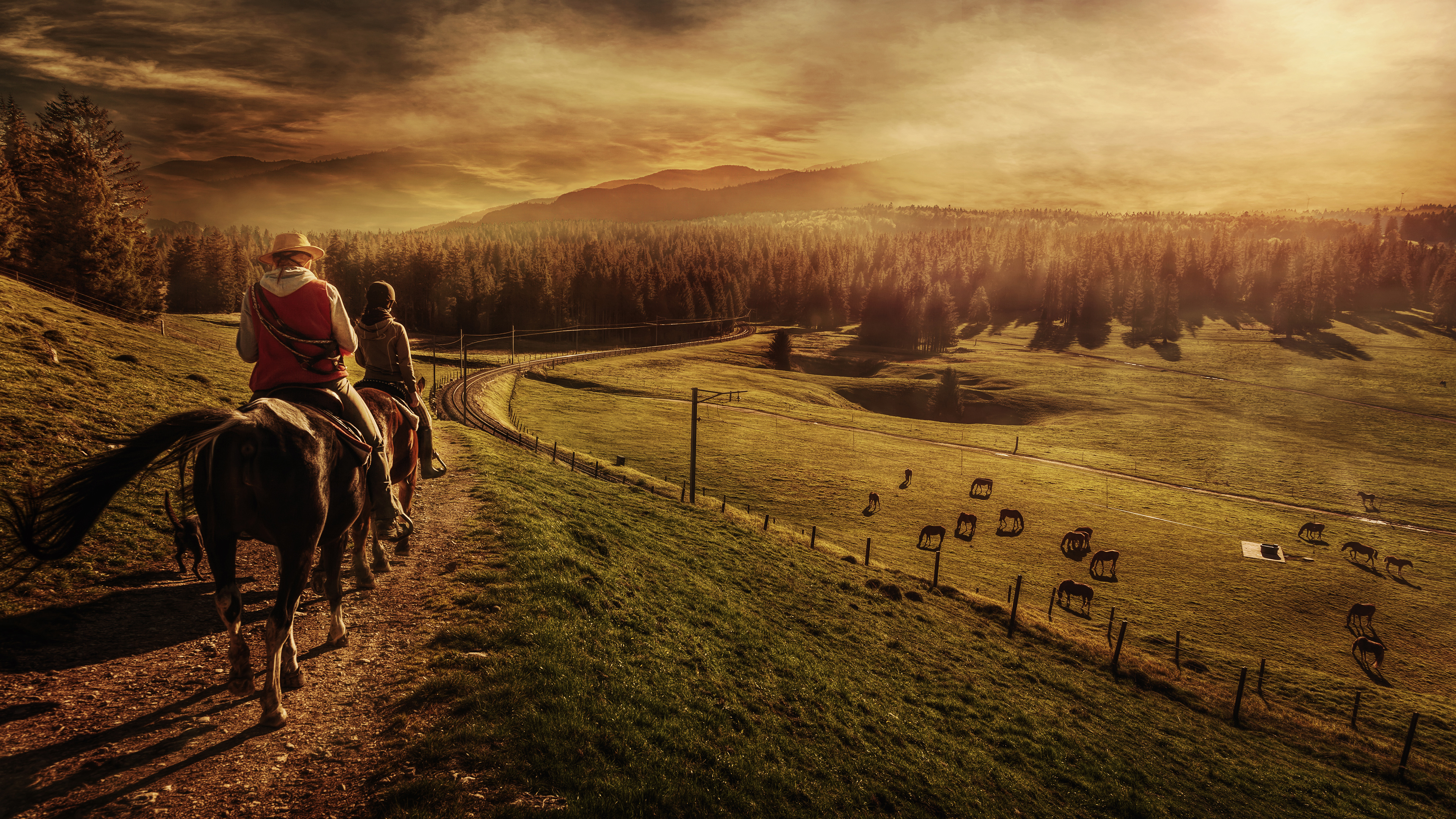 photography, landscape, people, horse, horse riding, sunset High Definition image