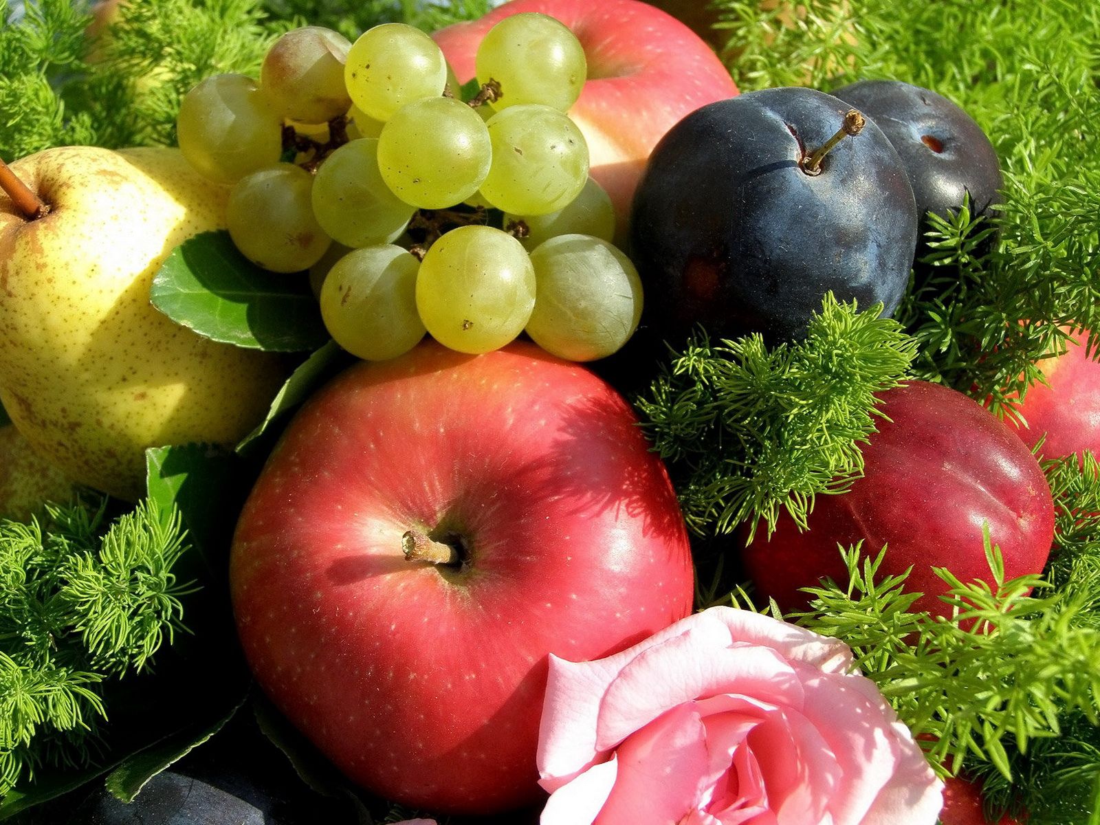 118387 Hintergrundbild herunterladen obst, lebensmittel, grass, äpfel, trauben, plum - Bildschirmschoner und Bilder kostenlos