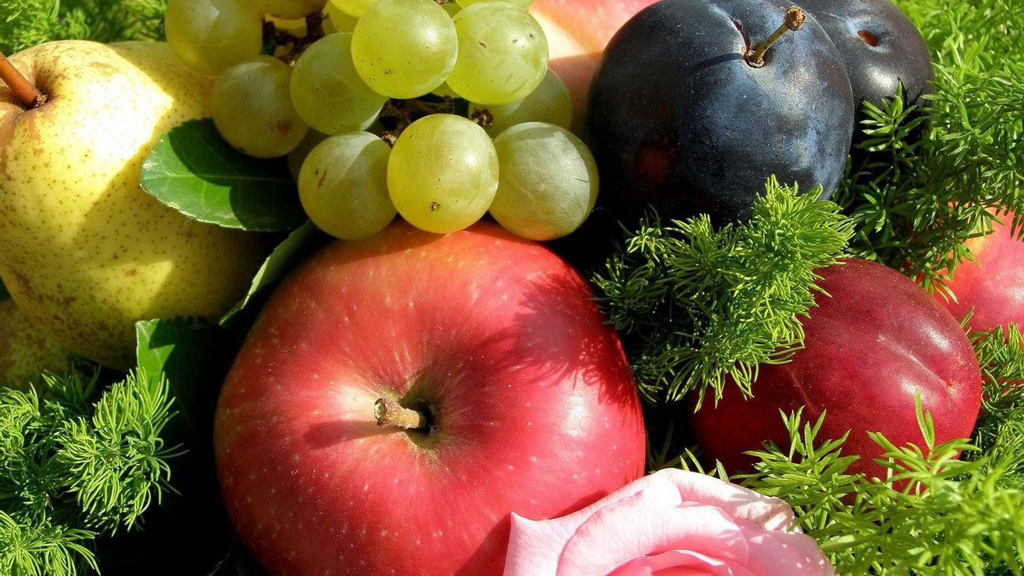 Яблоко фрукт или овощ. Фрукты. Садовые фрукты. Яблоки груши виноград. Августовские фрукты.