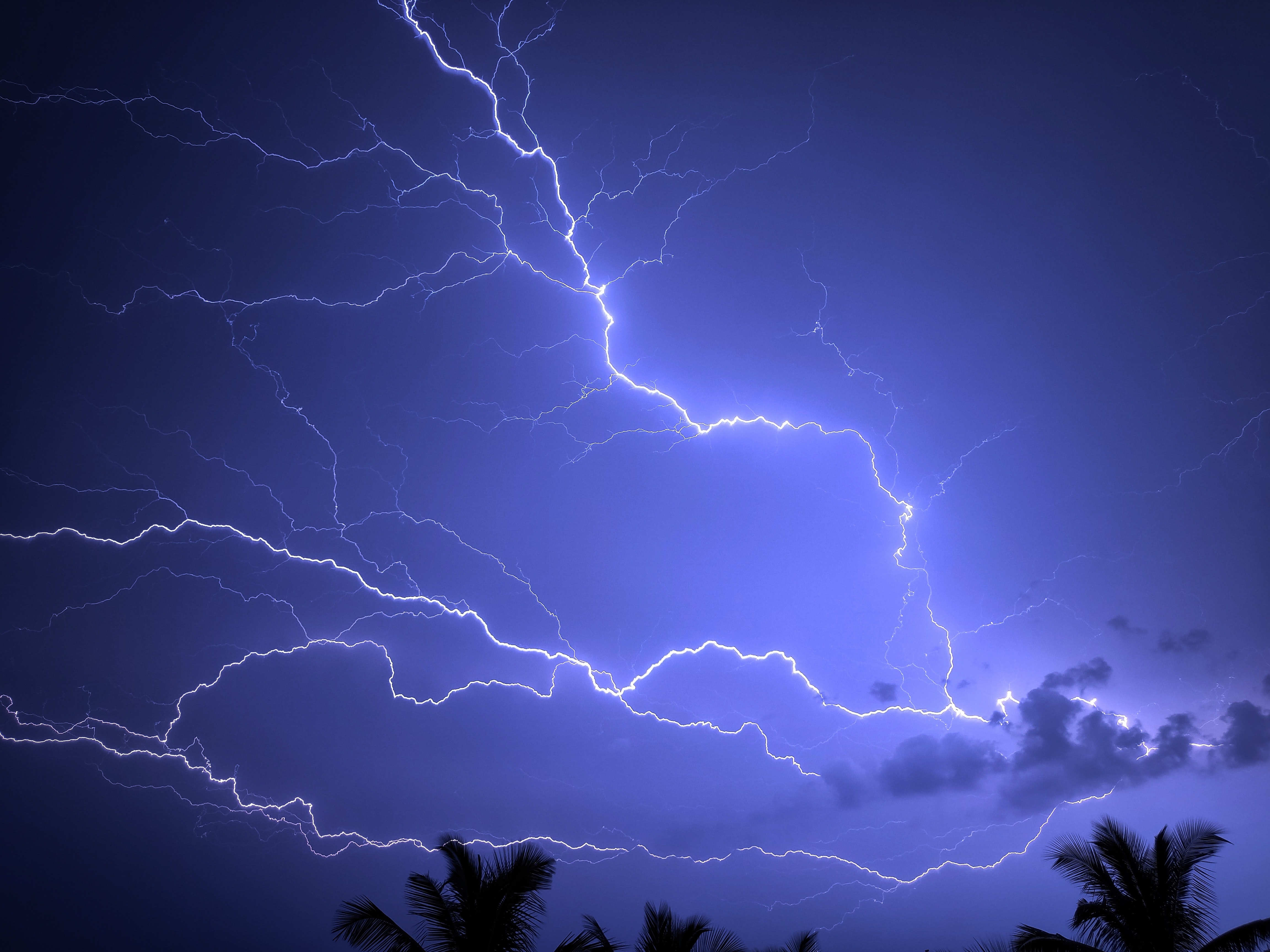 lightning, sky, nature, palms, storm