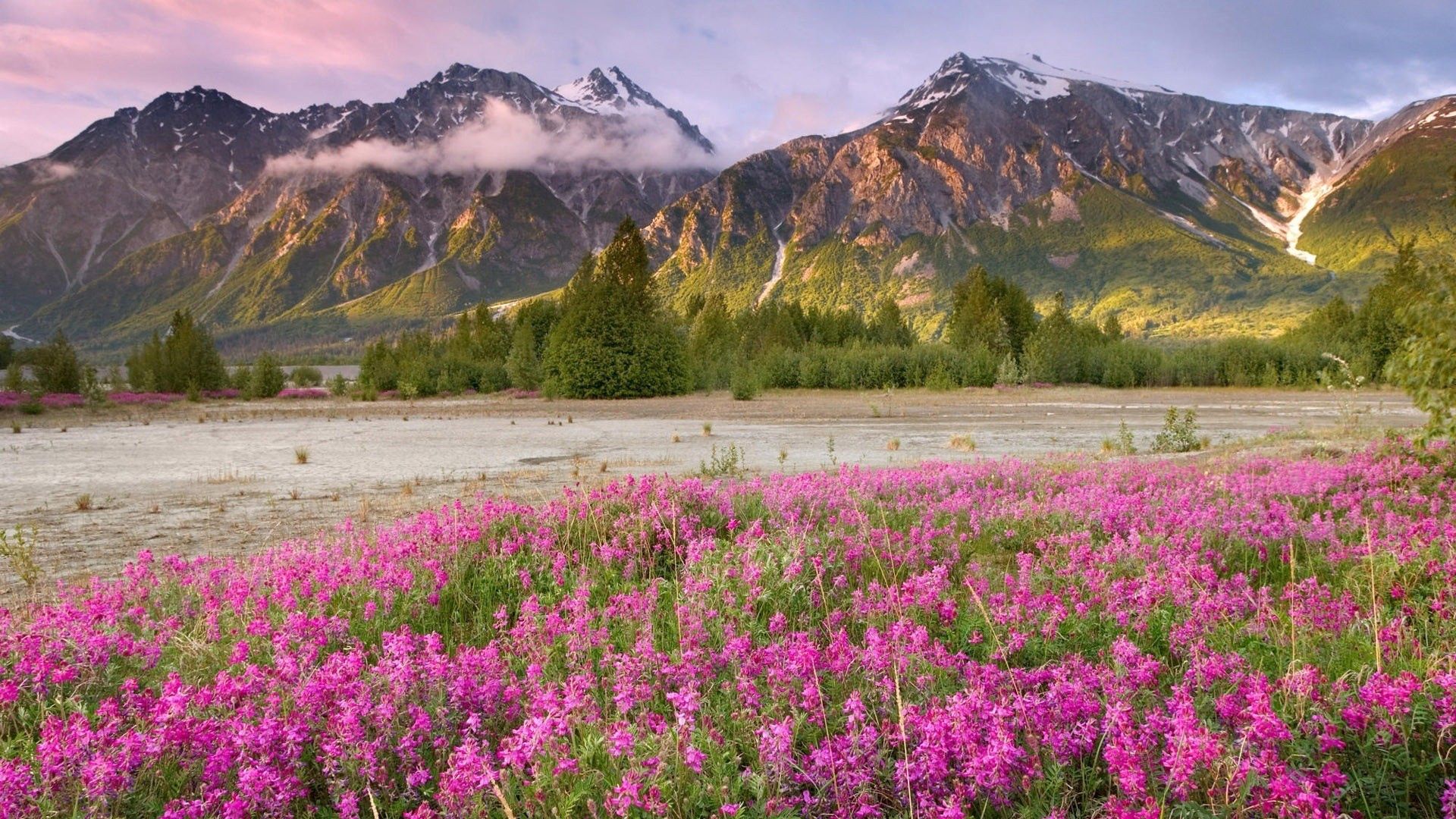 Download mobile wallpaper Mountains, Nature, Flowers, Grass, Field for free.