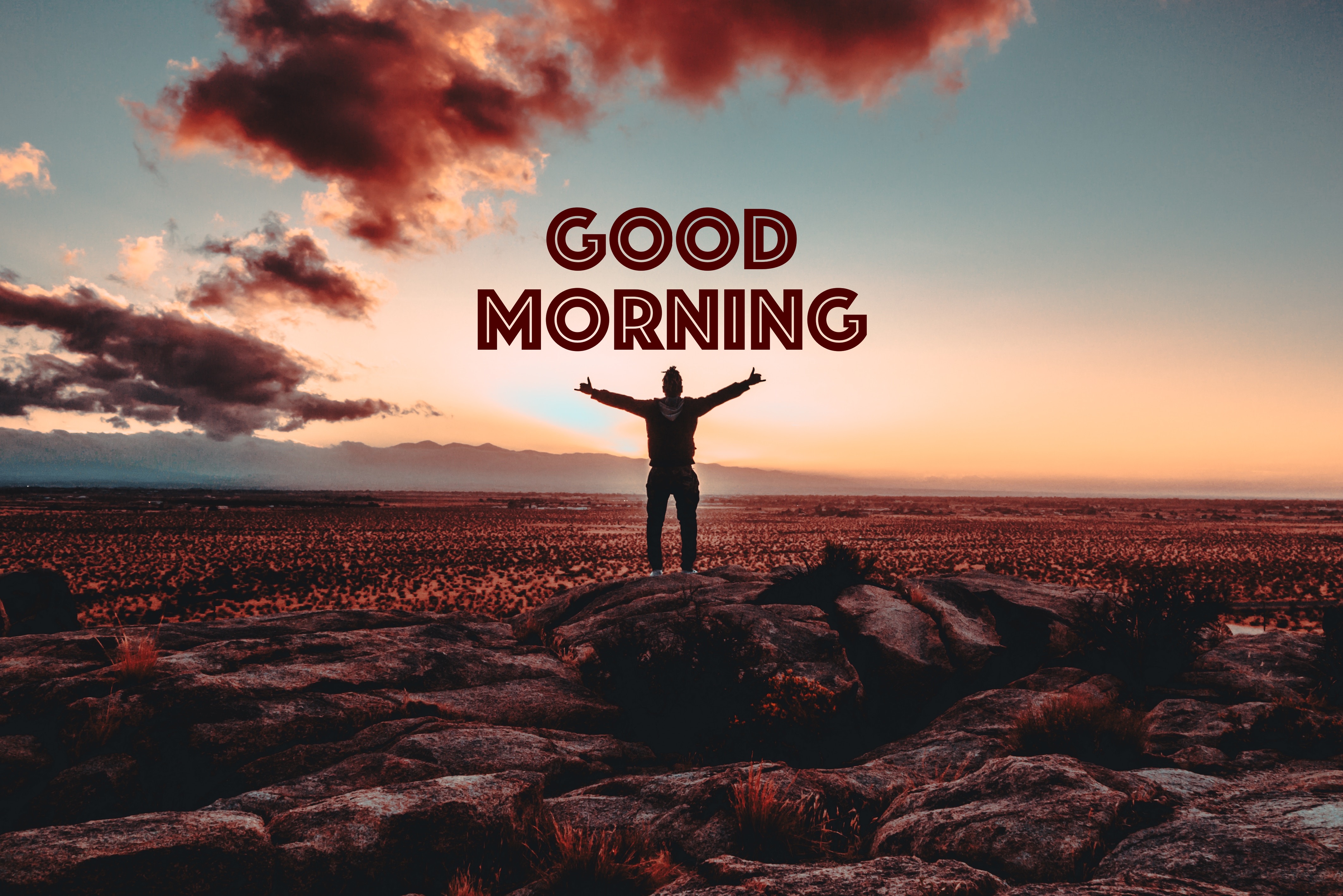 Best Morning wallpapers for phone screen