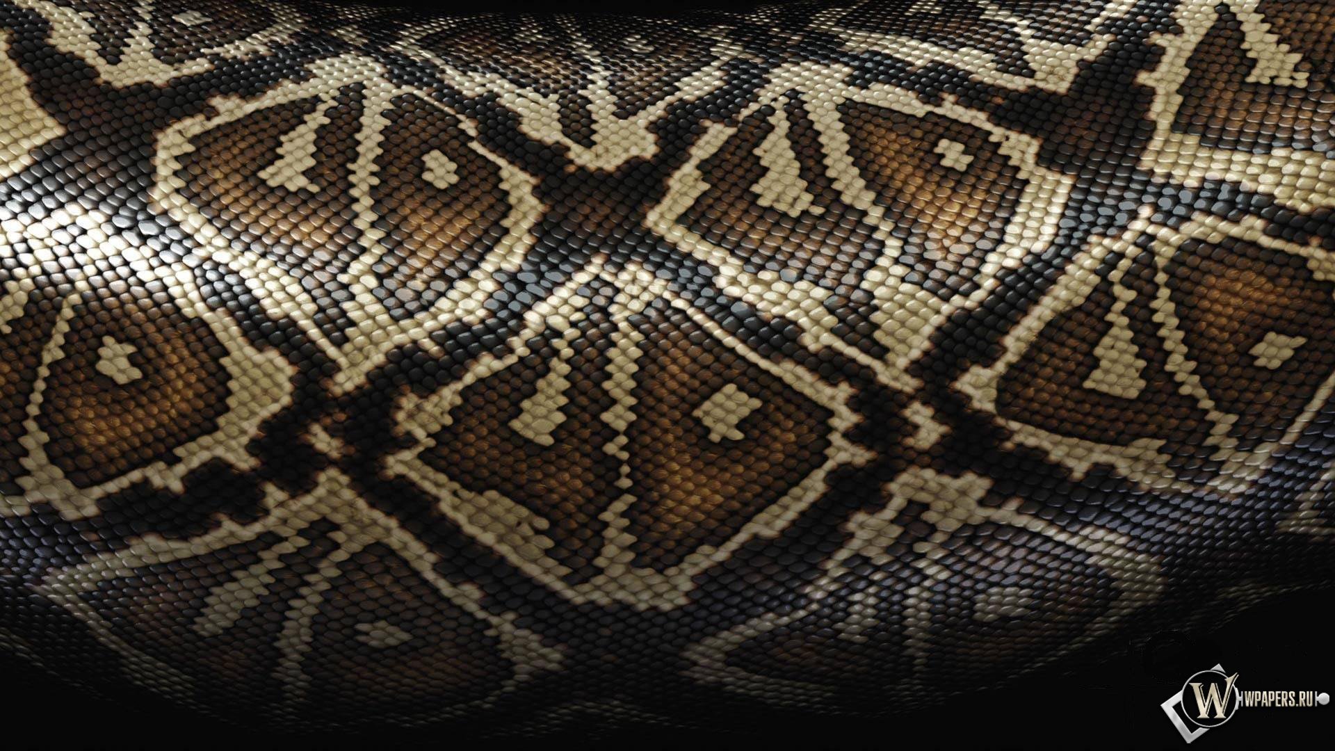 background, snakes, black wallpapers for tablet