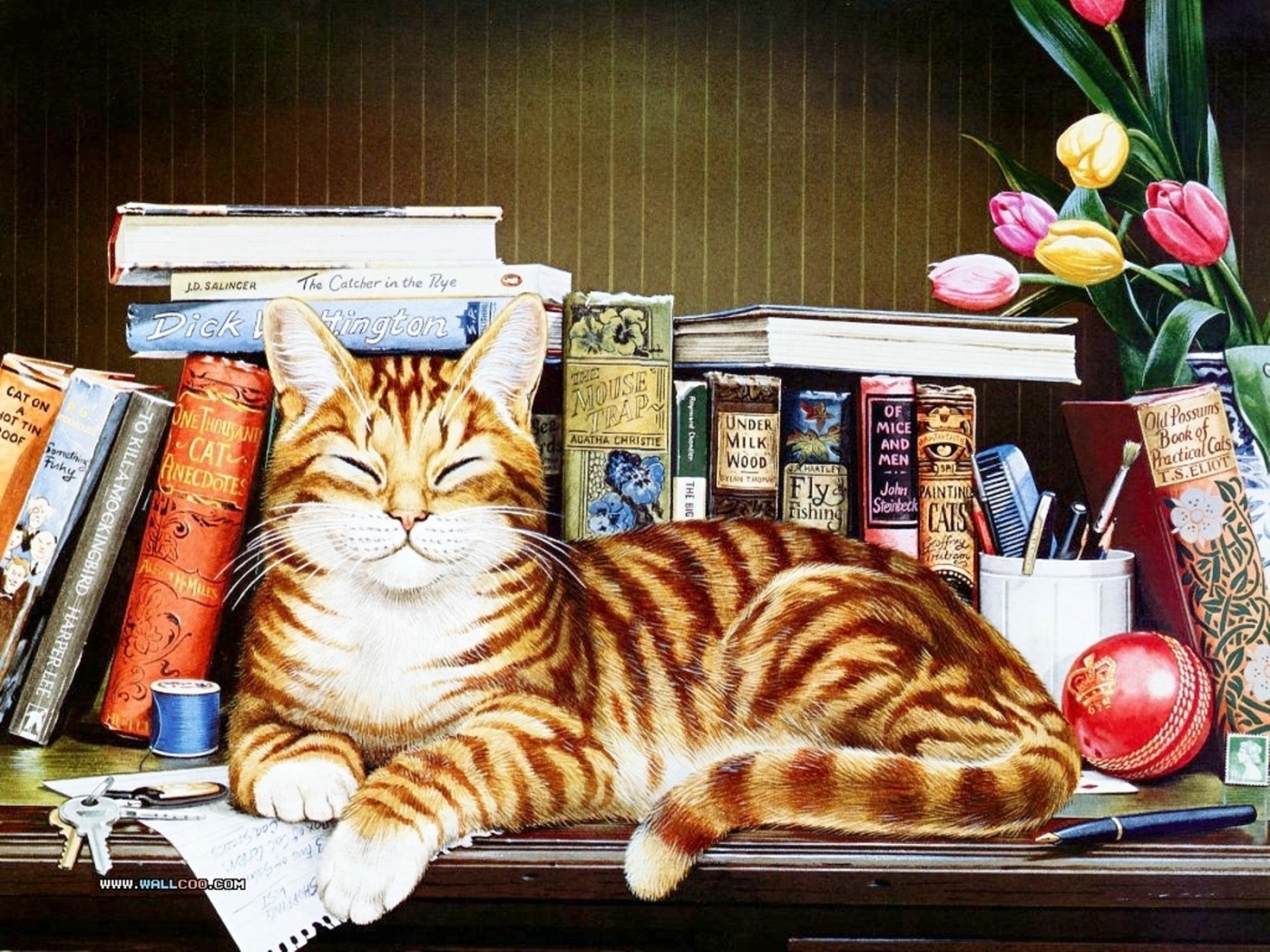 Handy-Wallpaper Bücher, Bilder, Katzen, Tiere kostenlos herunterladen.