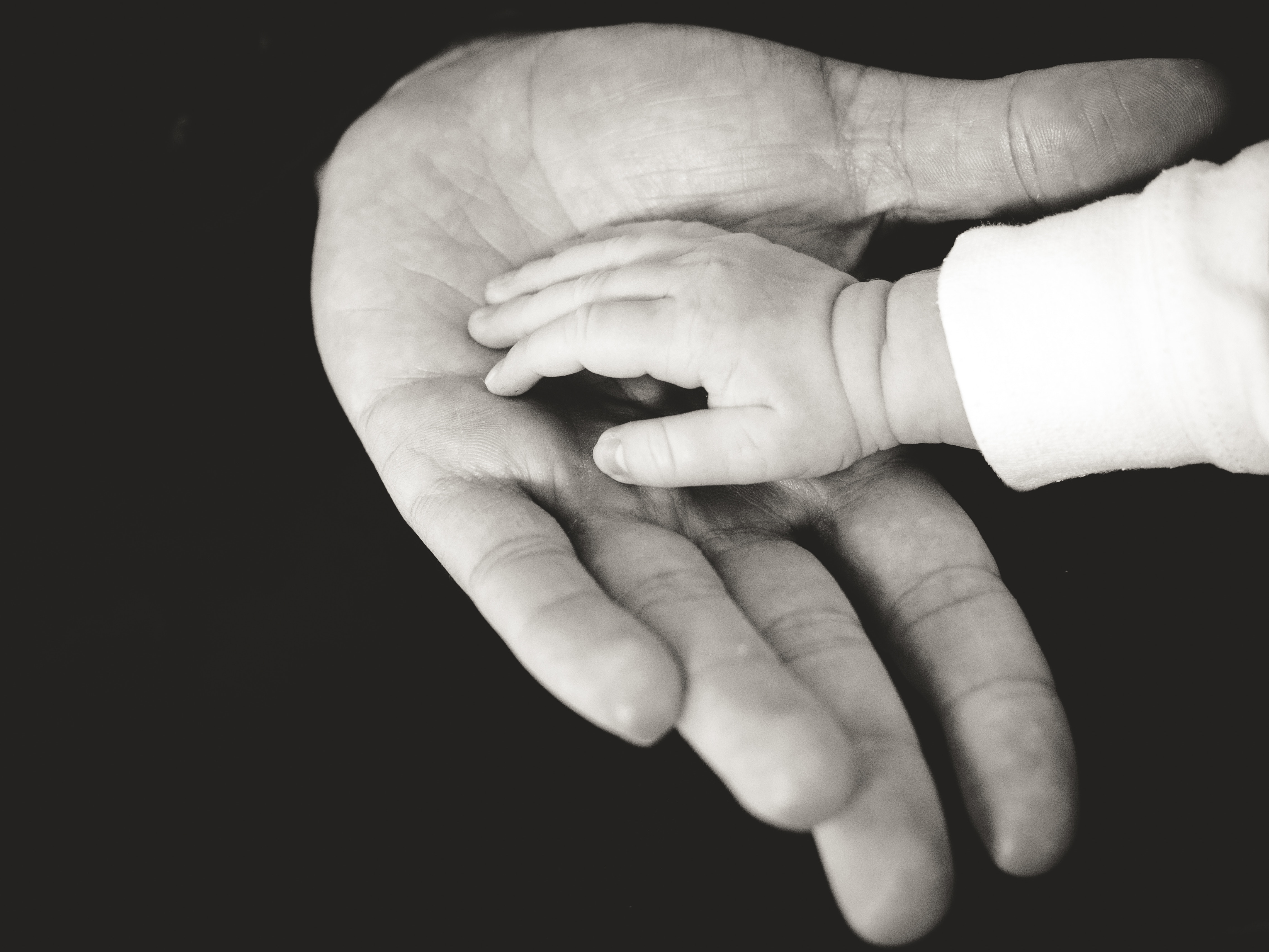 care, family, parents, love, hands, bw, chb, tenderness, child