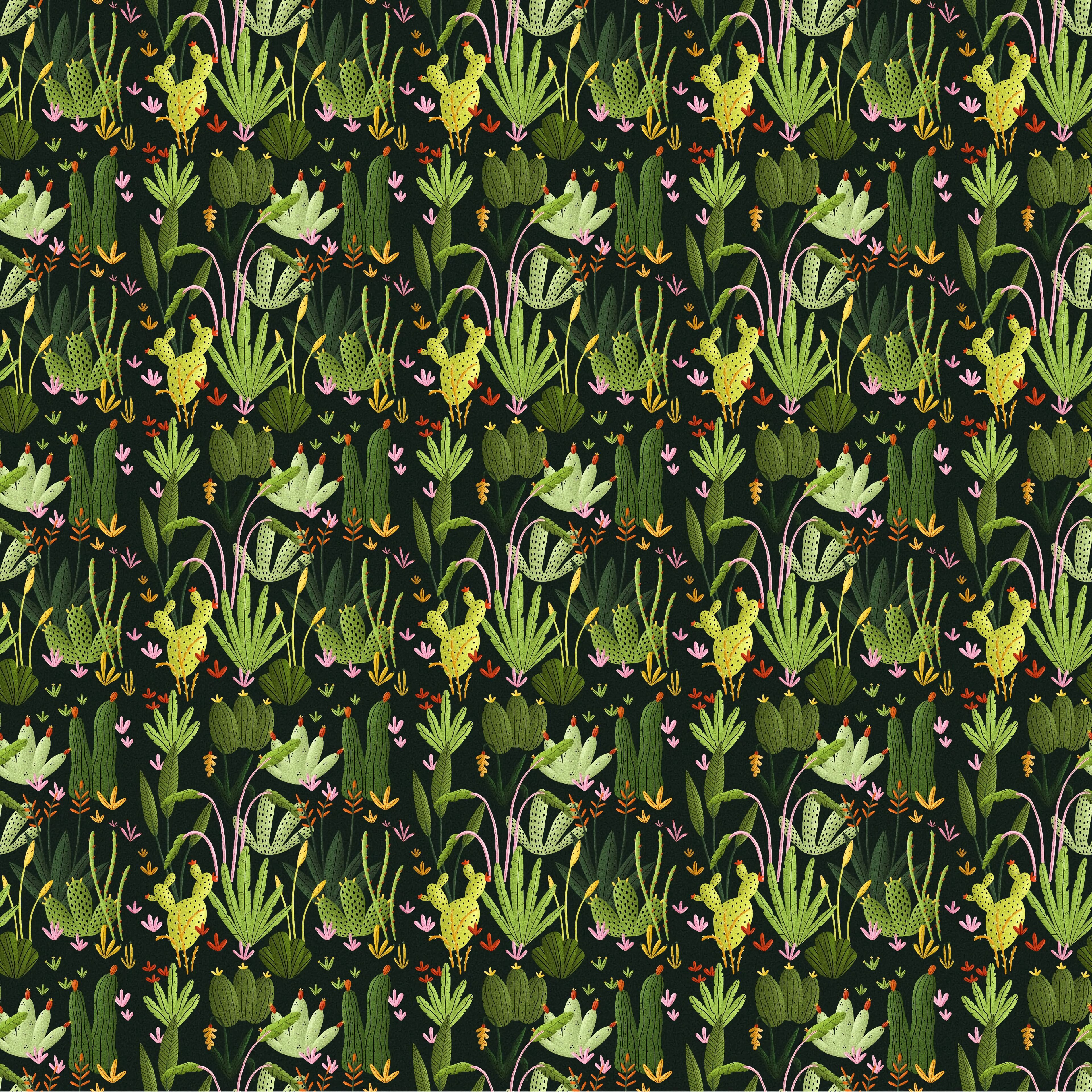 Handy-Wallpaper Pflanzen, Kakteen, Muster, Textur, Texturen kostenlos herunterladen.