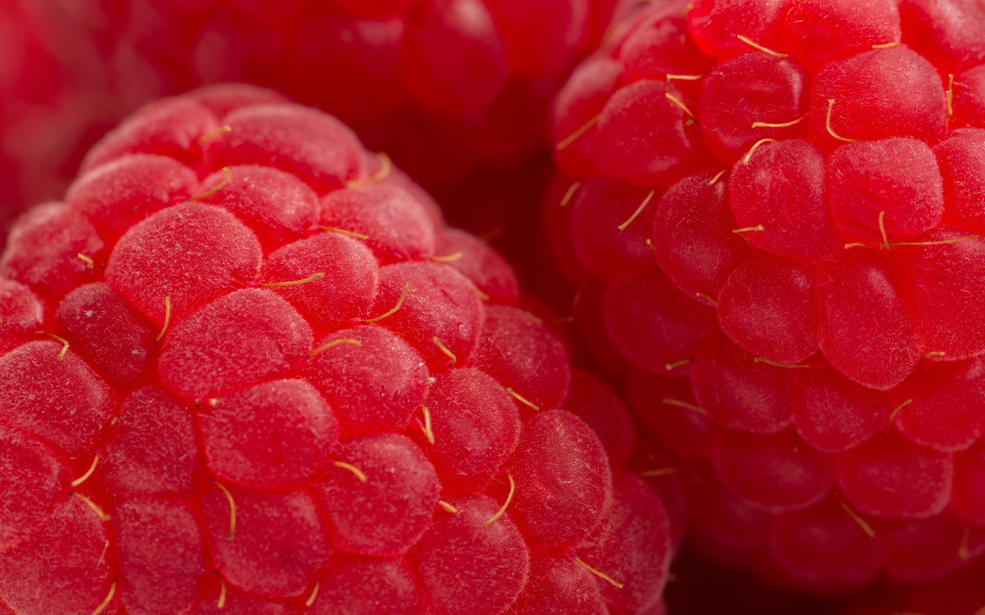 berries, red, background Free HD pic