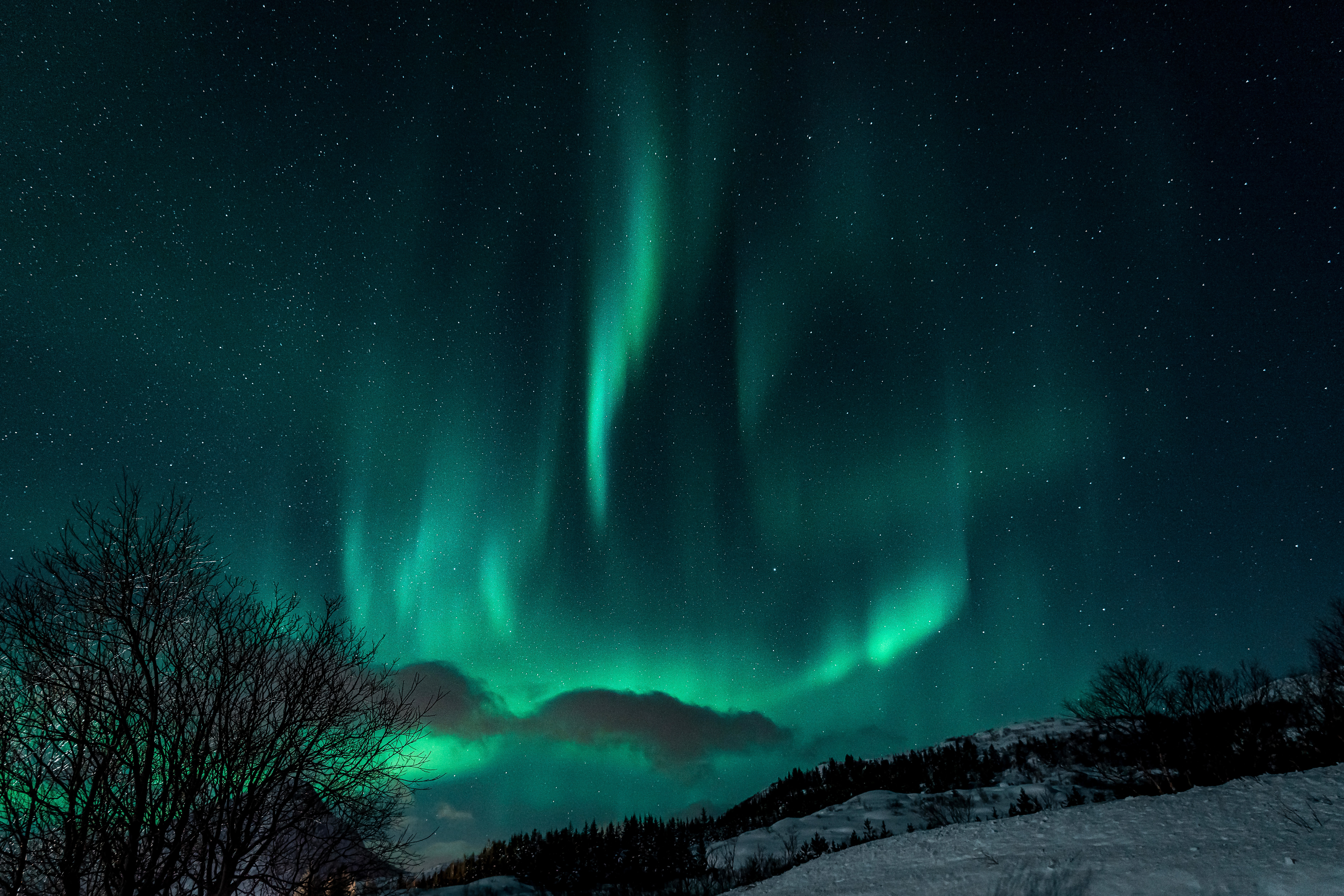 Laden Sie 117542: aurora borealis, nordlichter, winter, natur, übernachtung, schnee, dunkel Desktop-Hintergrund kostenlos herunter