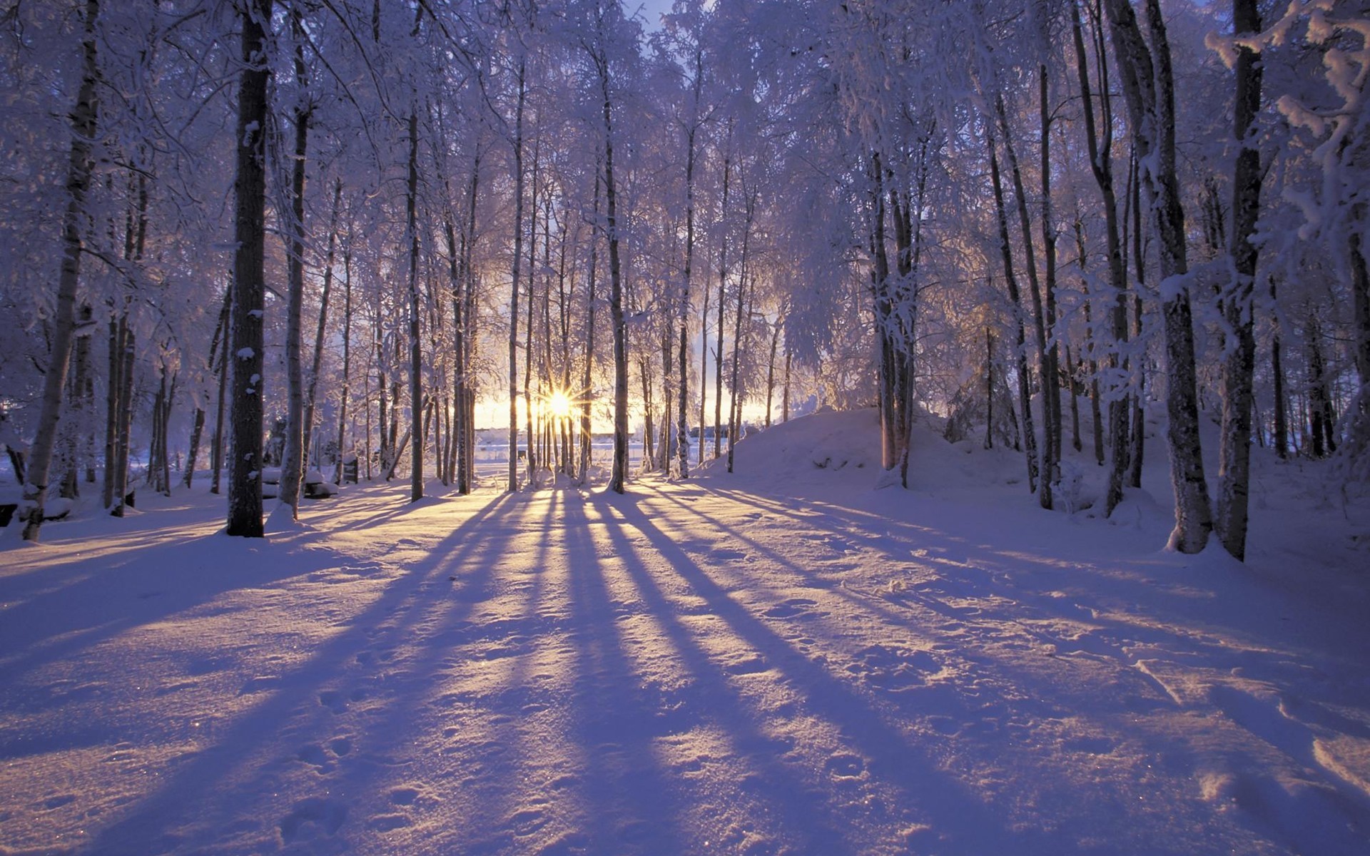 High Definition Winter background