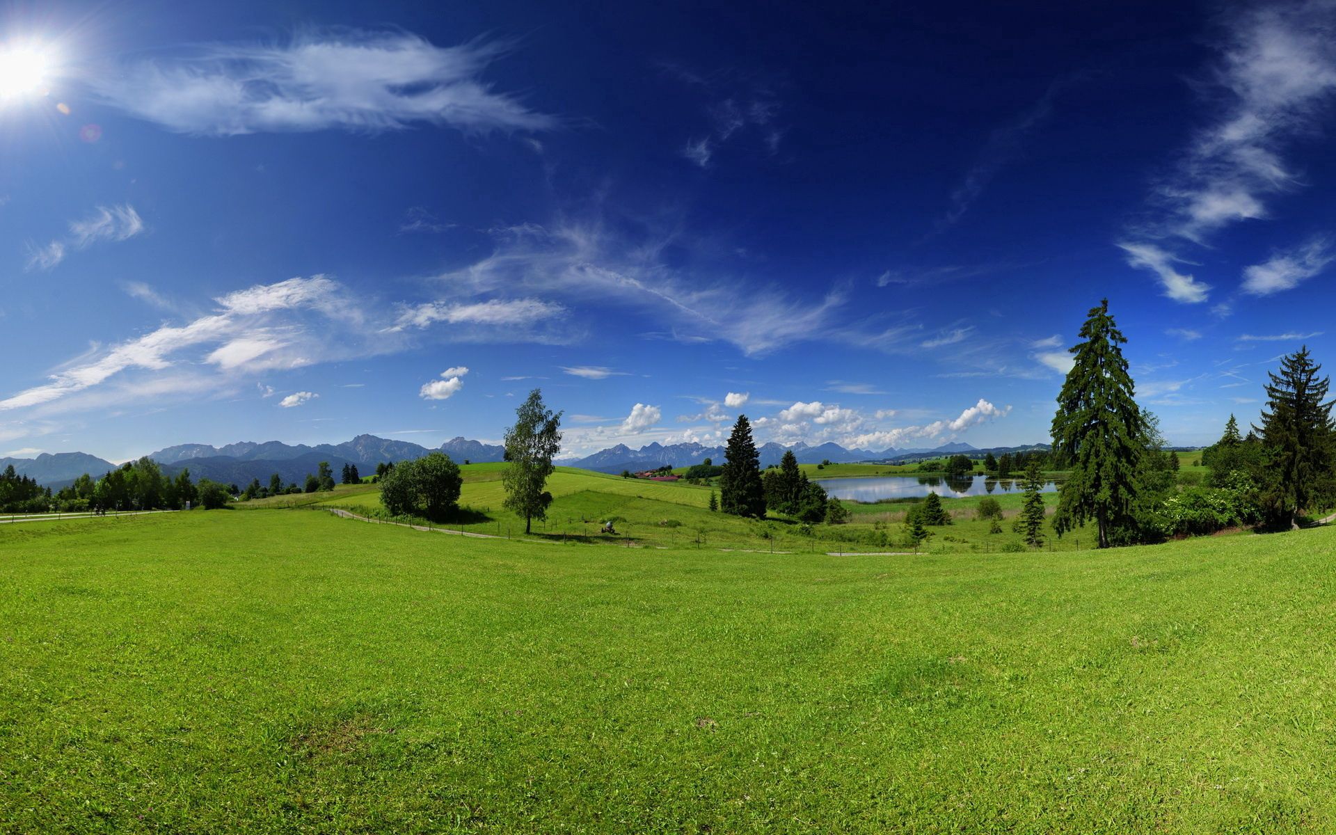 summer, sky, plain, green, nature, trees, meadow, sunny, heat, warmth High Definition image