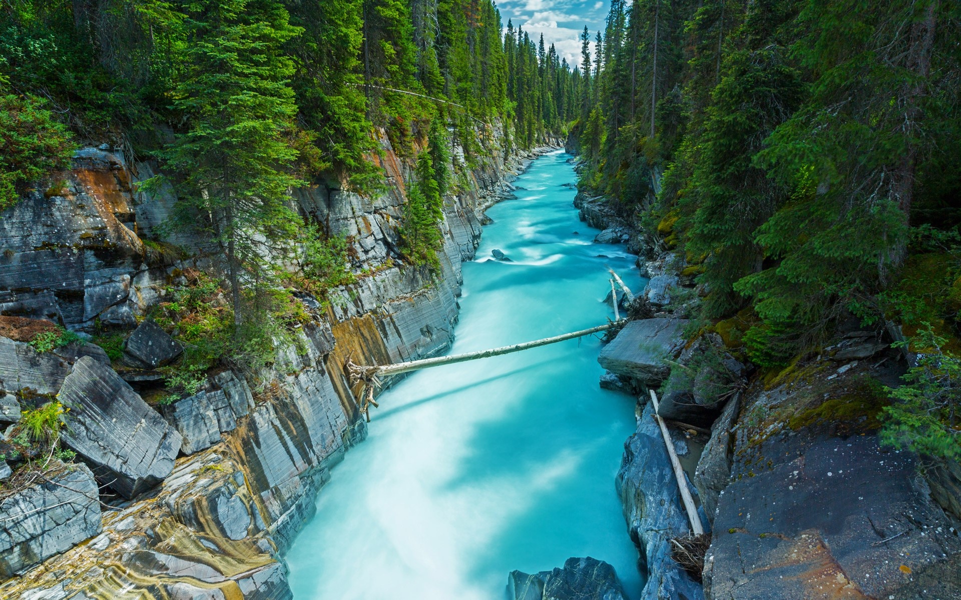 HD desktop wallpaper: Nature, Canada, Forest, Tree, Earth, River, Yoho  National Park download free picture #740242