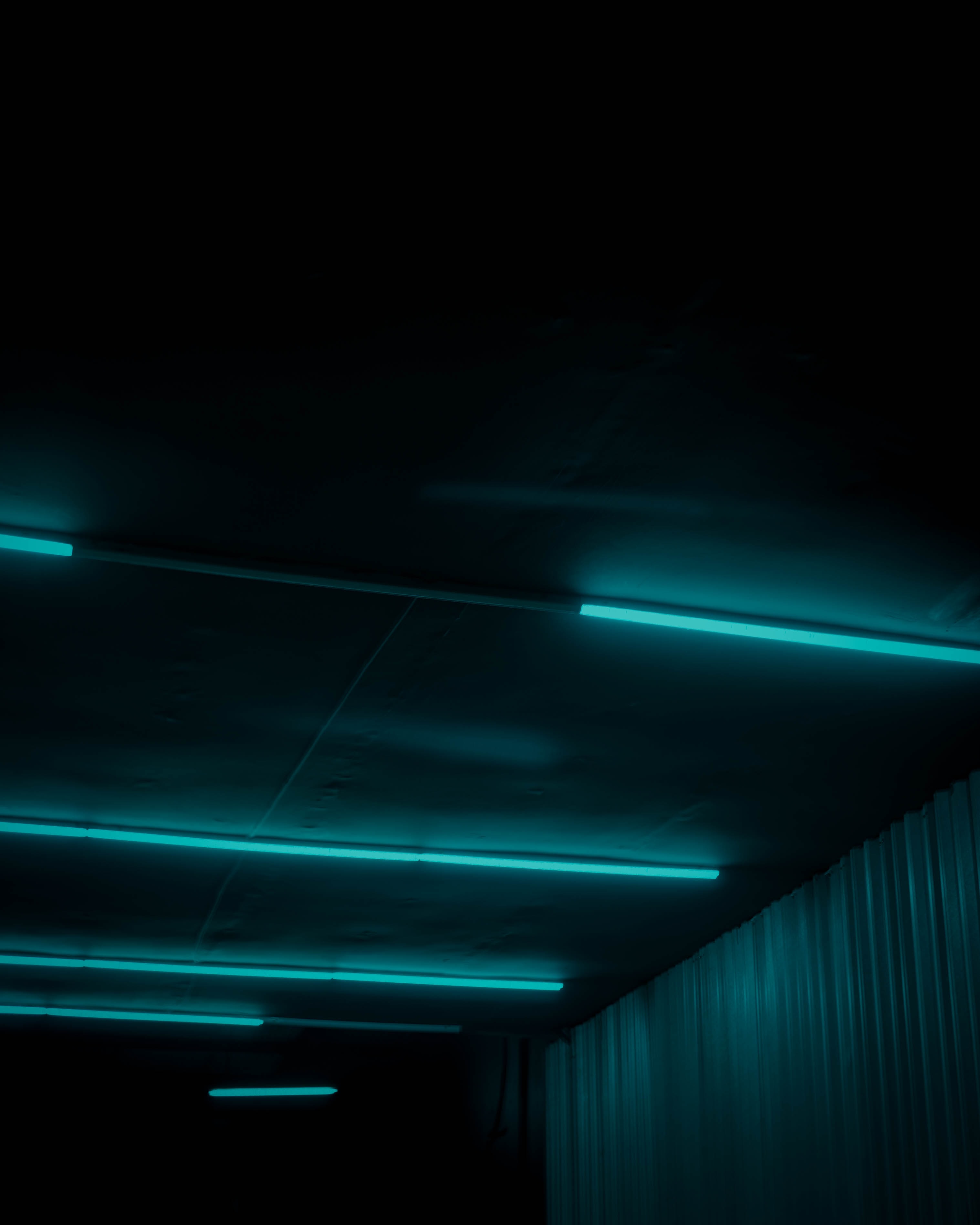 neon, dark, shine, light, lamp, darkness, lamps HD wallpaper