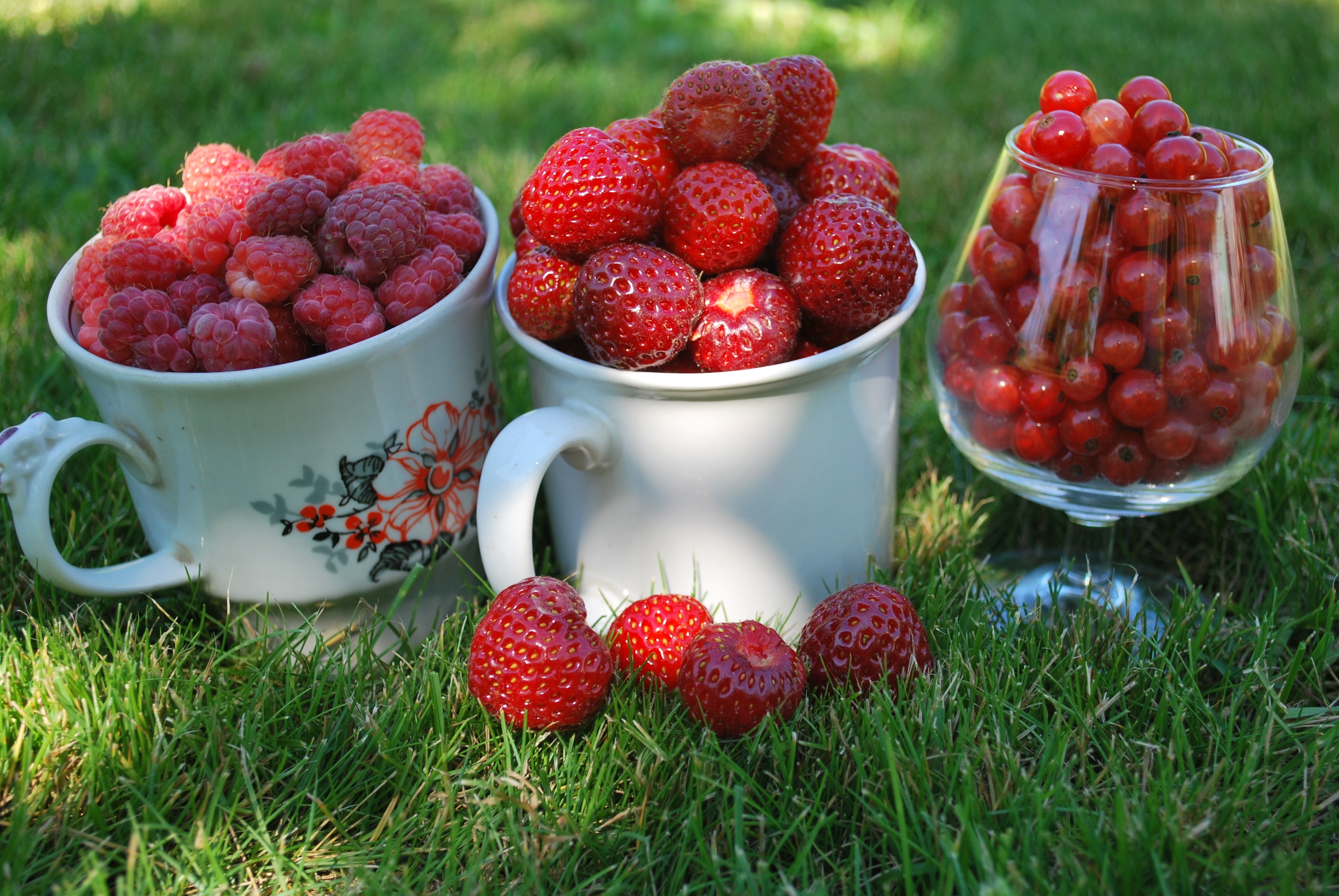 57749 Screensavers and Wallpapers Cups for phone. Download food, strawberry, grass, cups, raspberry, berries, currant, red, macro, mugs, country house, dacha, wineglass, goblet pictures for free