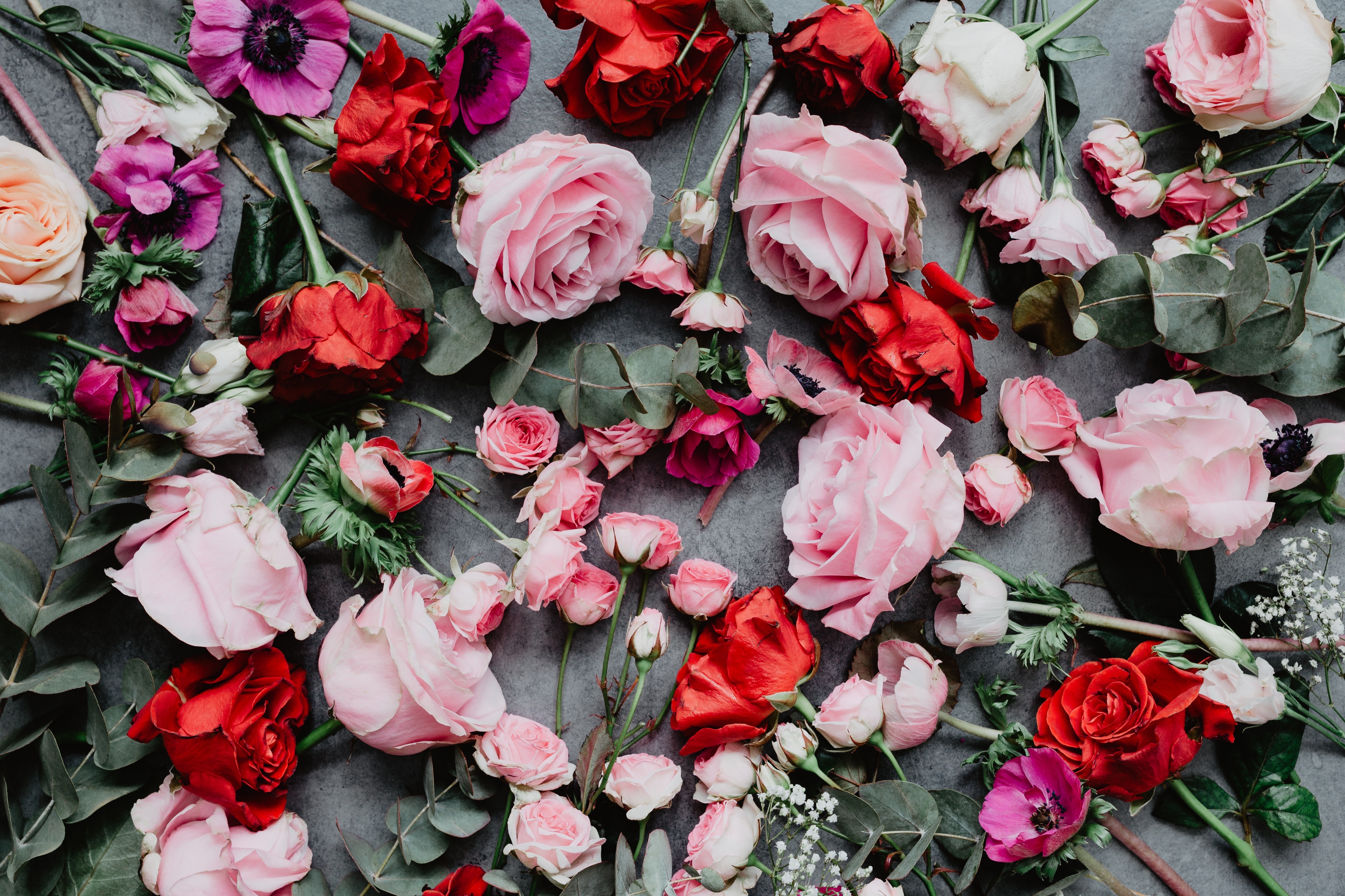 Laden Sie das Blumen, Roses, Rosa, Komposition, Zusammensetzung-Bild kostenlos auf Ihren PC-Desktop herunter