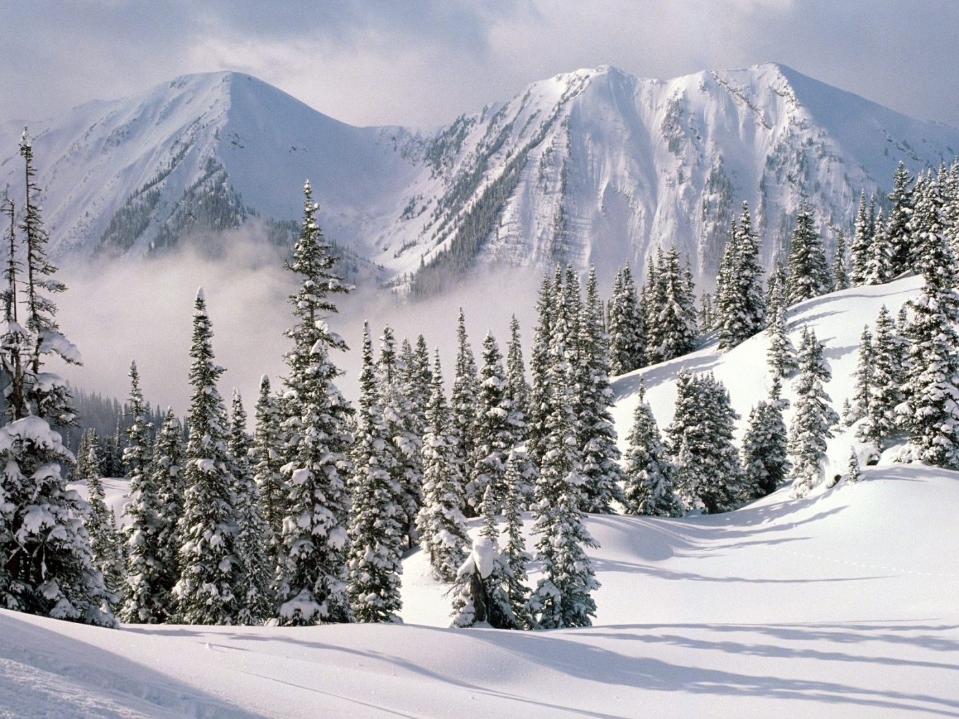 47300 Protetores de tela e papéis de parede Inverno em seu telefone. Baixe paisagem, montanhas, natureza, neve fotos gratuitamente
