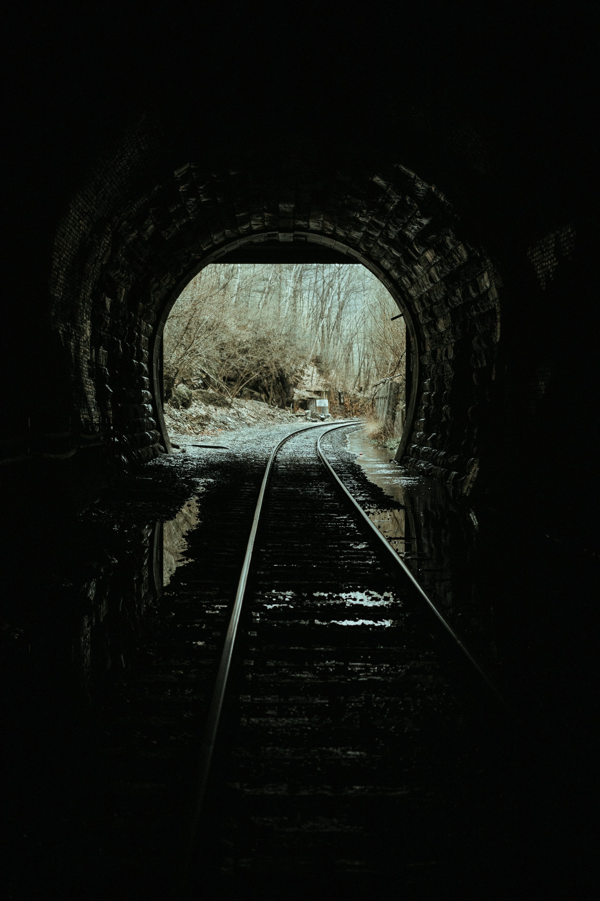 rails, tunnel, trees, nature, dark cell phone wallpapers