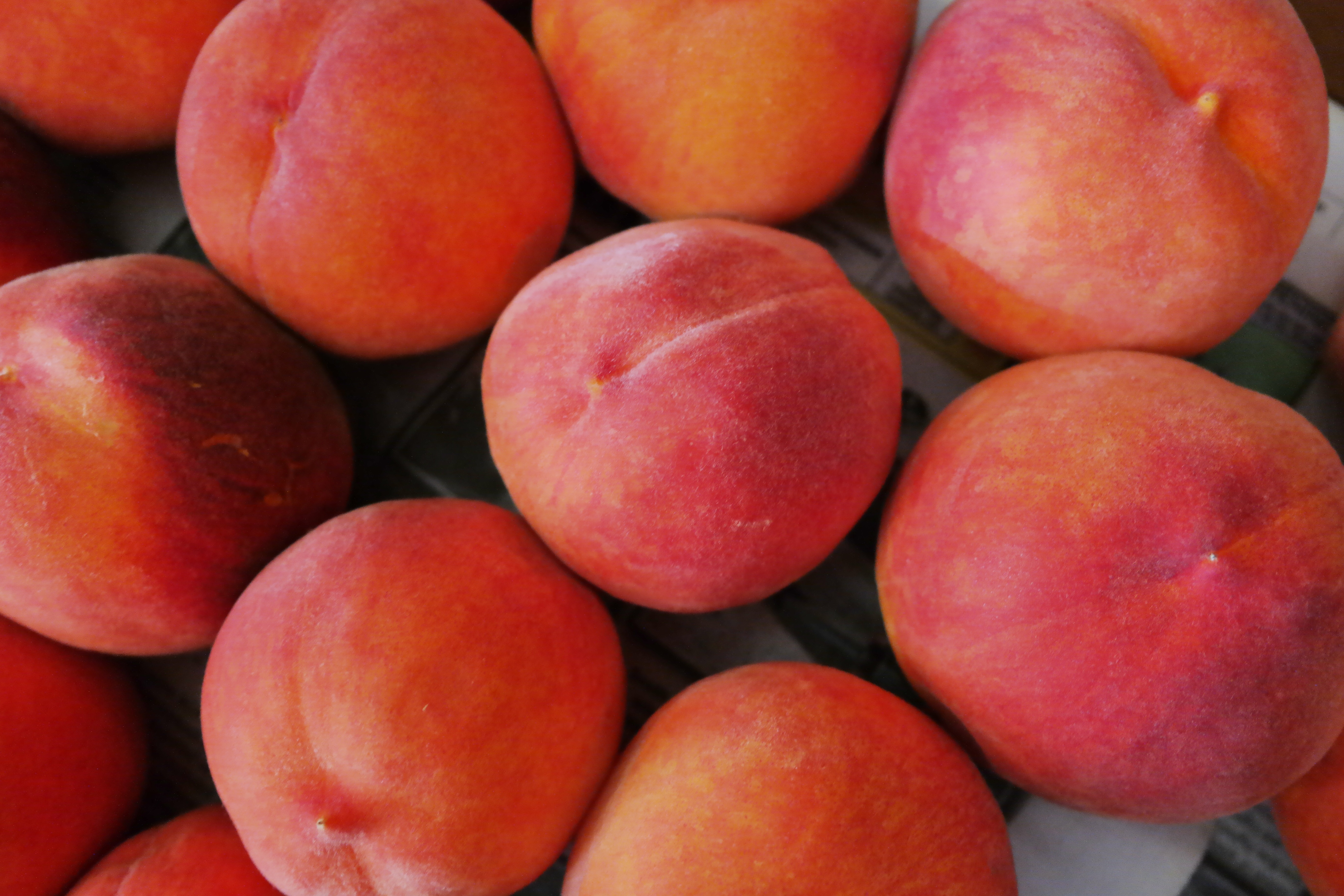 Ultra HD 4K peaches, ripe, food