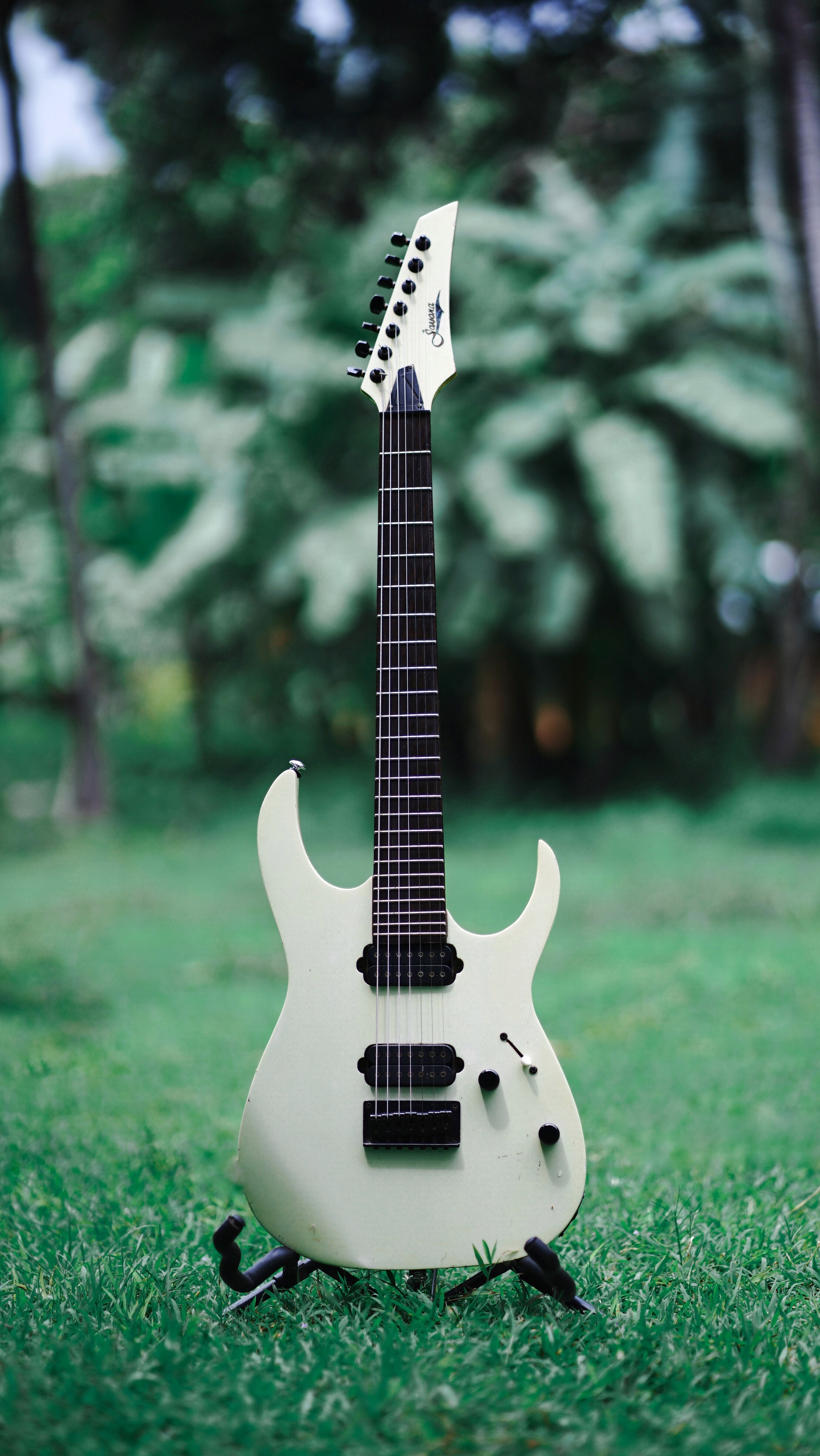 guitar, electric guitar, musical instrument, music, grass, white images