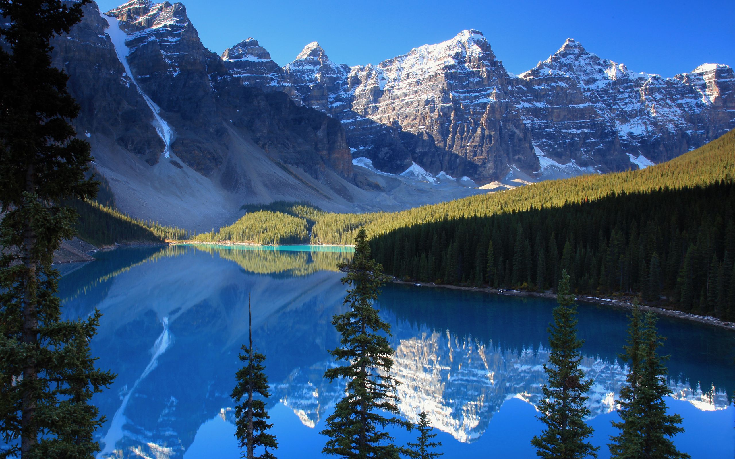 azure, nature, lake, conifers Windows Mobile Wallpaper