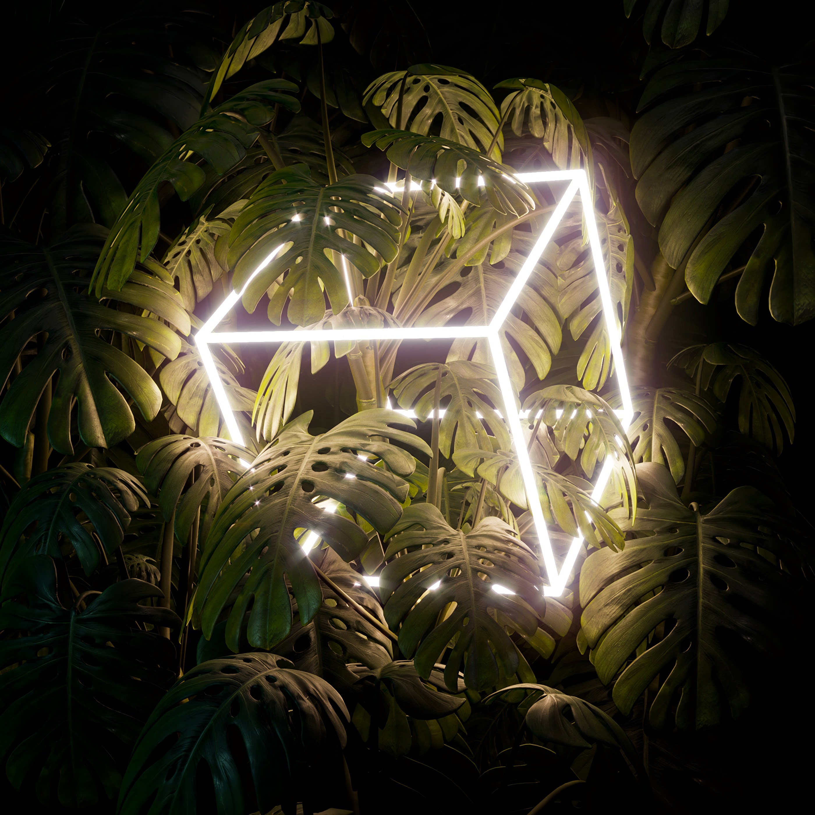 cube, leaves, neon, plant Full HD