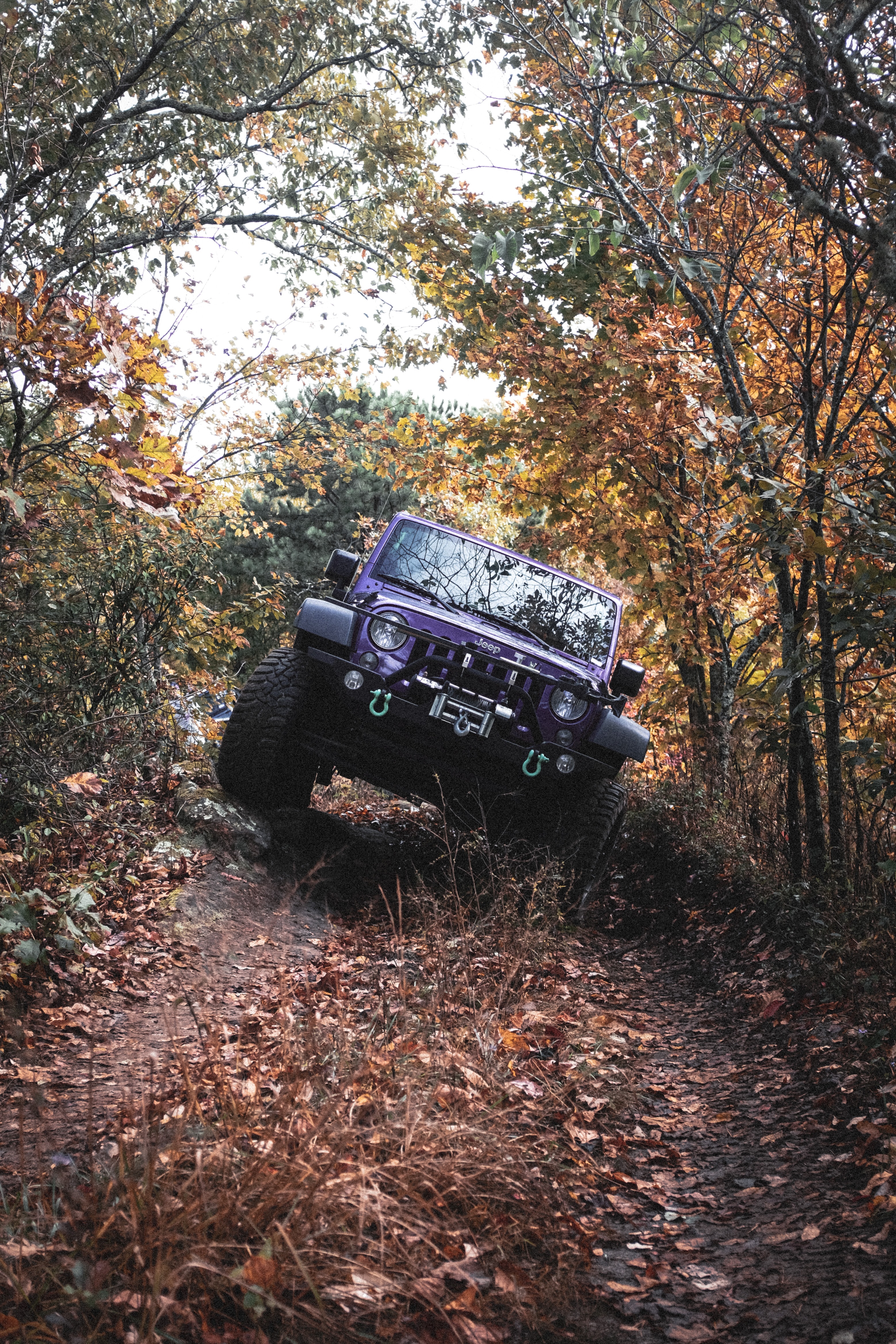 jeep, offroad, purple, violet, cars, car, suv, jeep wrangler, ofroad Full HD