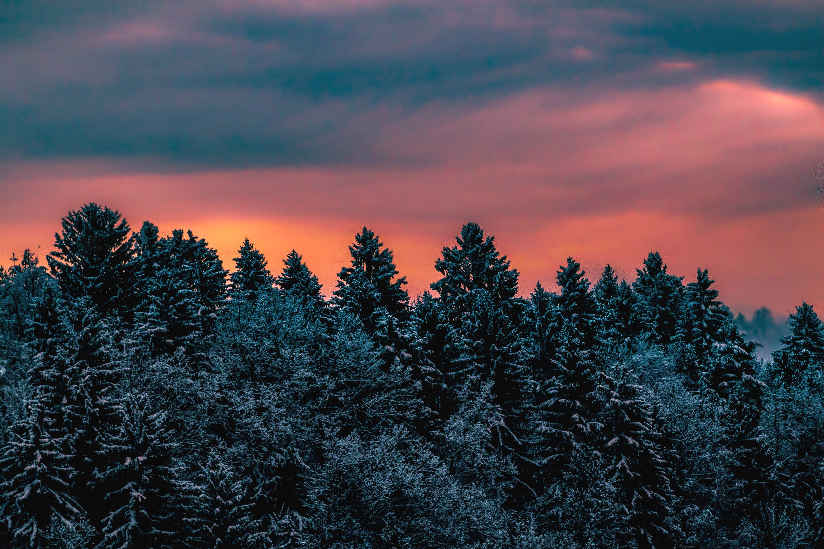 87019 Hintergrundbilder und Slowenien Bilder auf dem Desktop. Laden Sie sky, snowbound, schneebedeckt, bäume Bildschirmschoner kostenlos auf den PC herunter