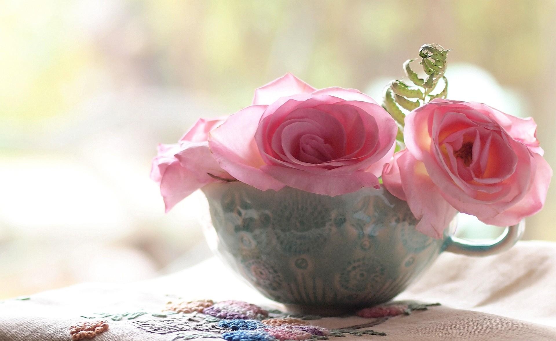 100370 Hintergrundbild herunterladen roses, blumen, eine tasse, tasse, nahaufnahme, nahansicht - Bildschirmschoner und Bilder kostenlos