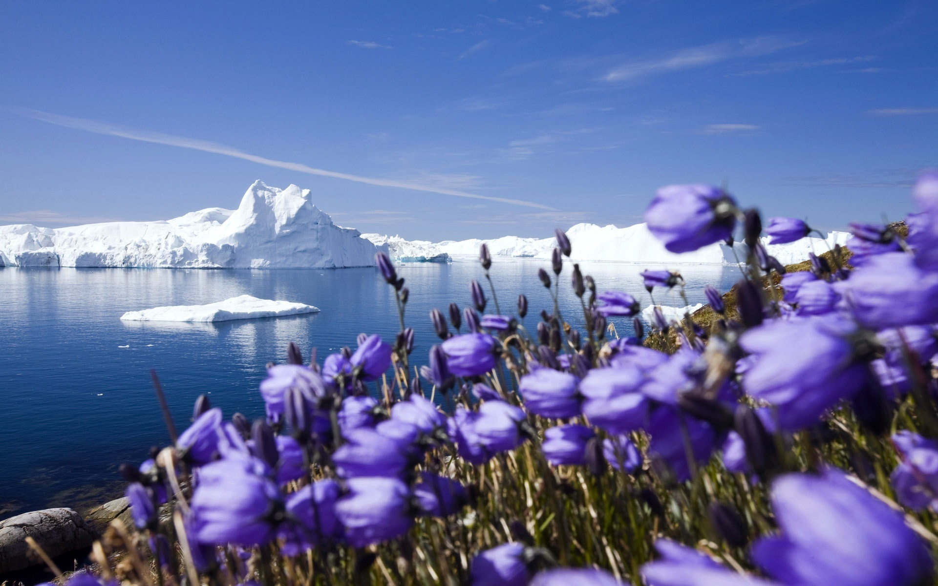 Laden Sie das Landschaft, Eisberge-Bild kostenlos auf Ihren PC-Desktop herunter
