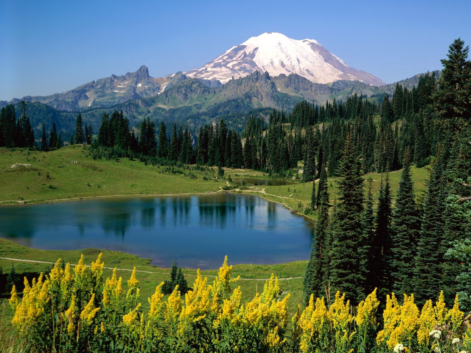83460 скачать обои альпы, озеро, луг, цветы, природа, деревья, горы, вершина - заставки и картинки бесплатно