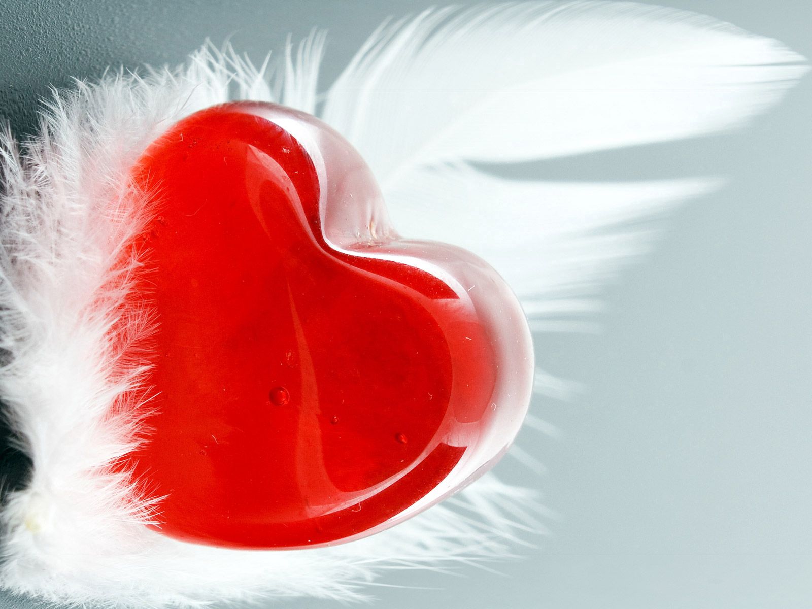 Mobile Wallpaper: Free HD Download [HQ] red, love, heart, feather
