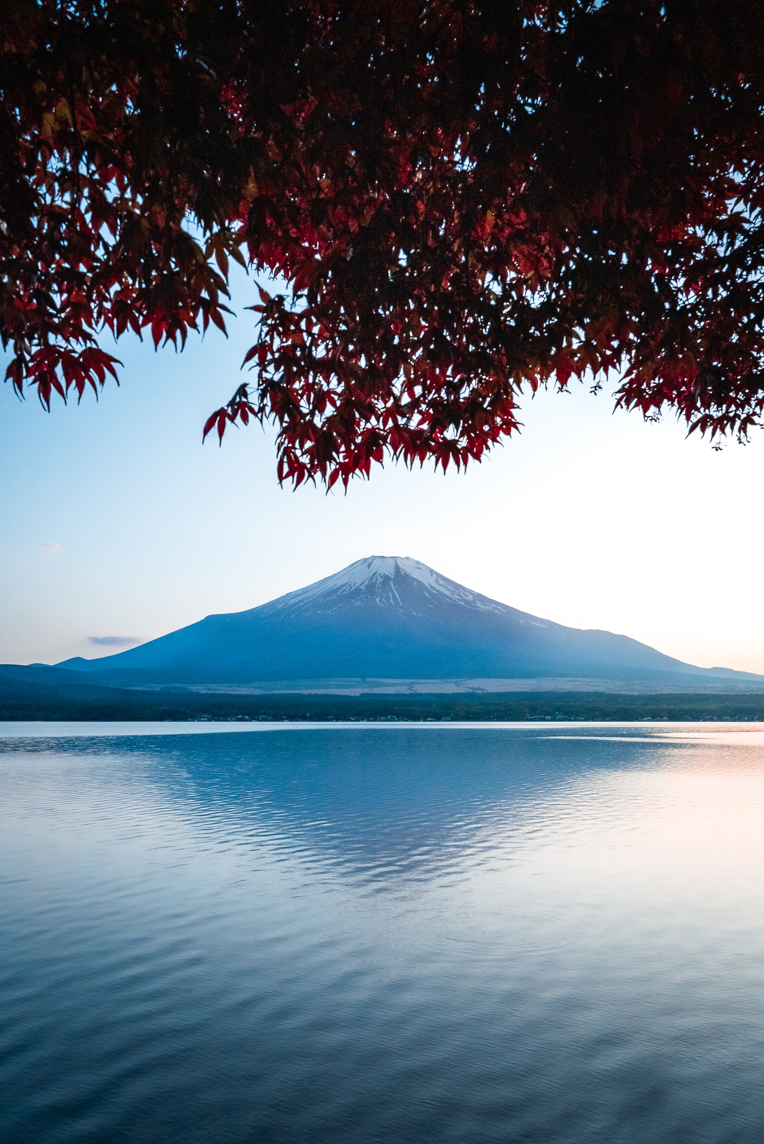 japan, mountain, lake, nature, fuji, landscape