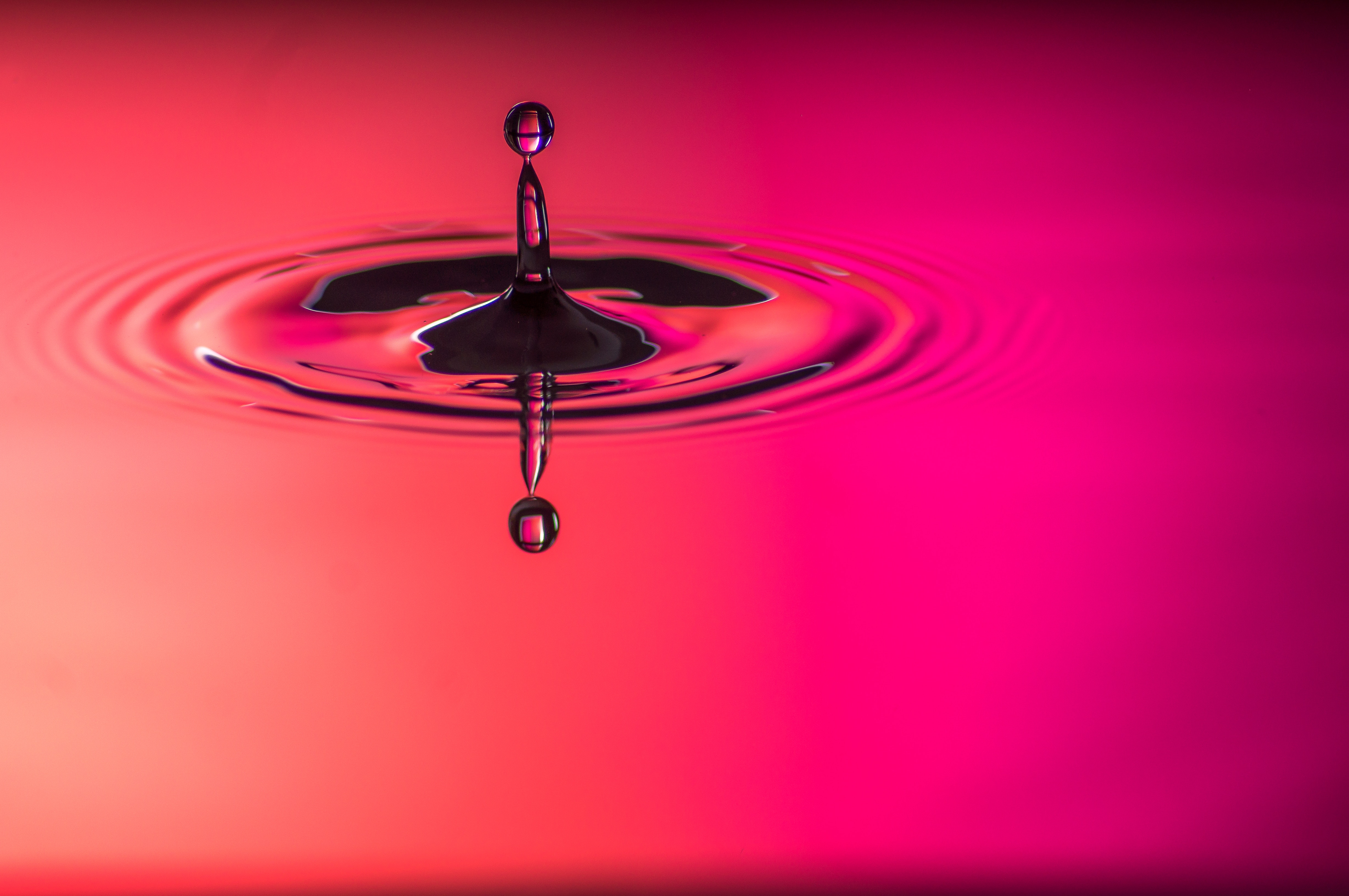 spray, macro, pink, drop Cell Phone Image