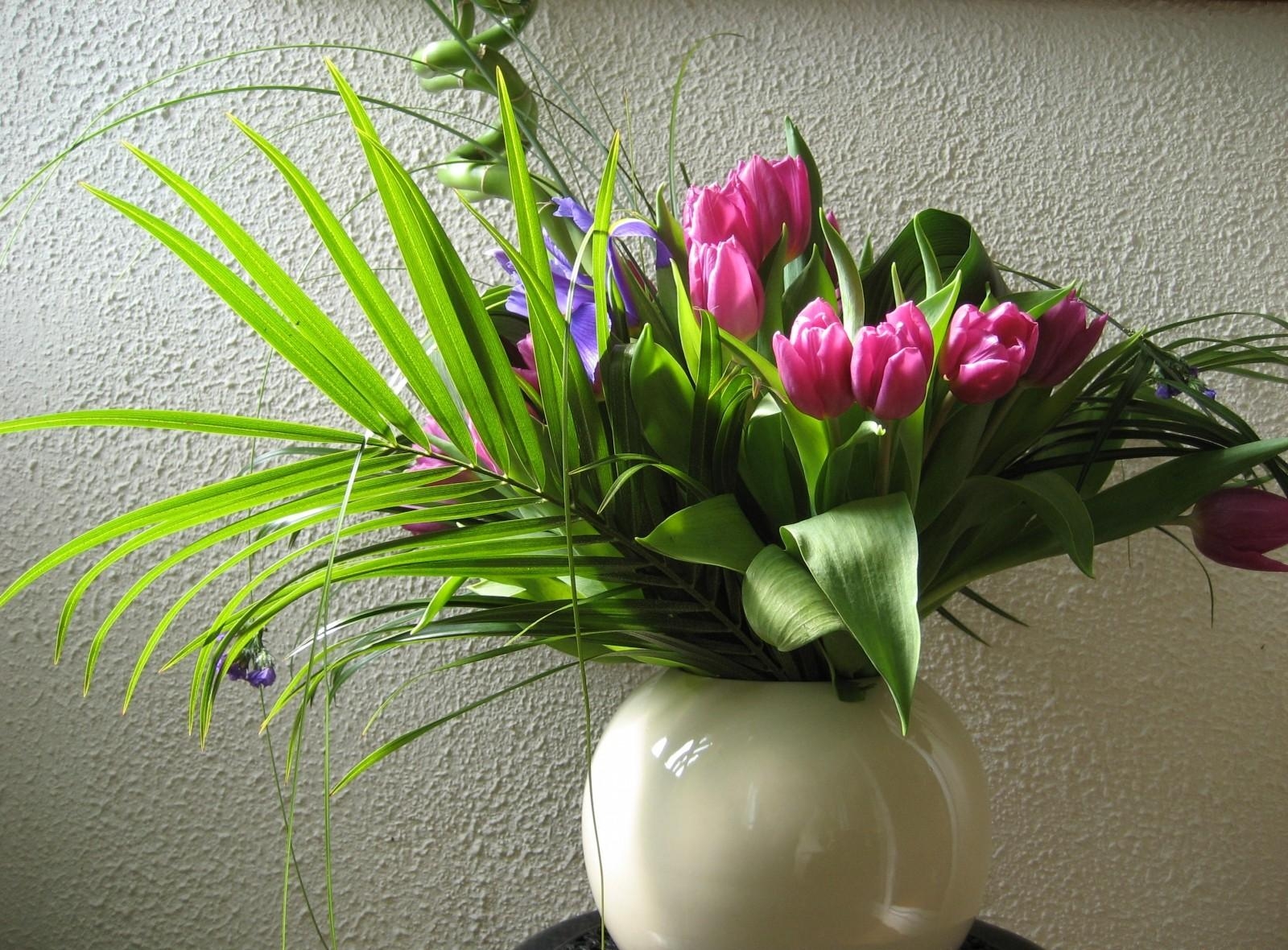 61626 économiseurs d'écran et fonds d'écran Verdure sur votre téléphone. Téléchargez fleurs, tulipes, mur, vase images gratuitement