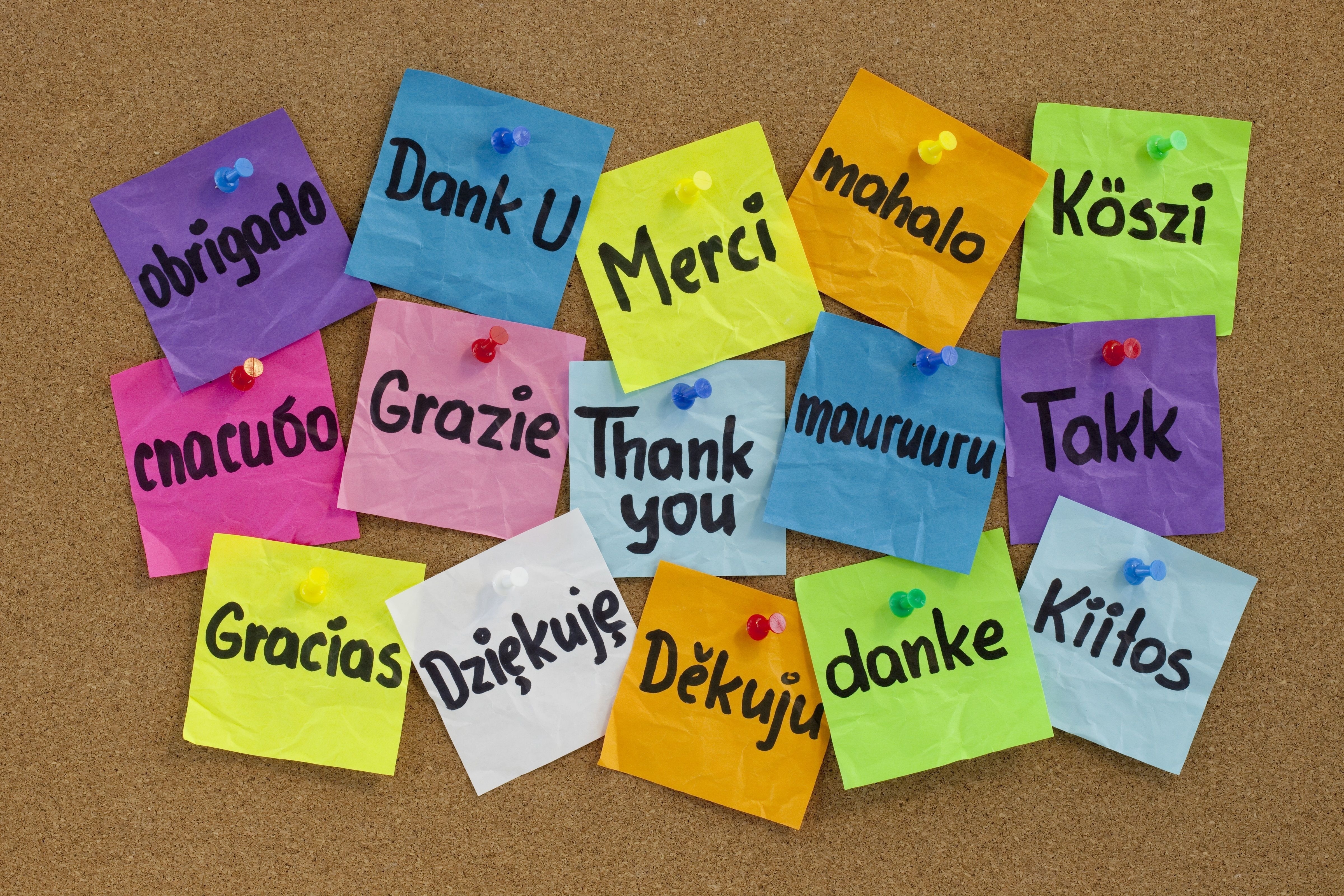 android multicolored, thank you, stickers, words, buttons, board, lots of, multitude, languages