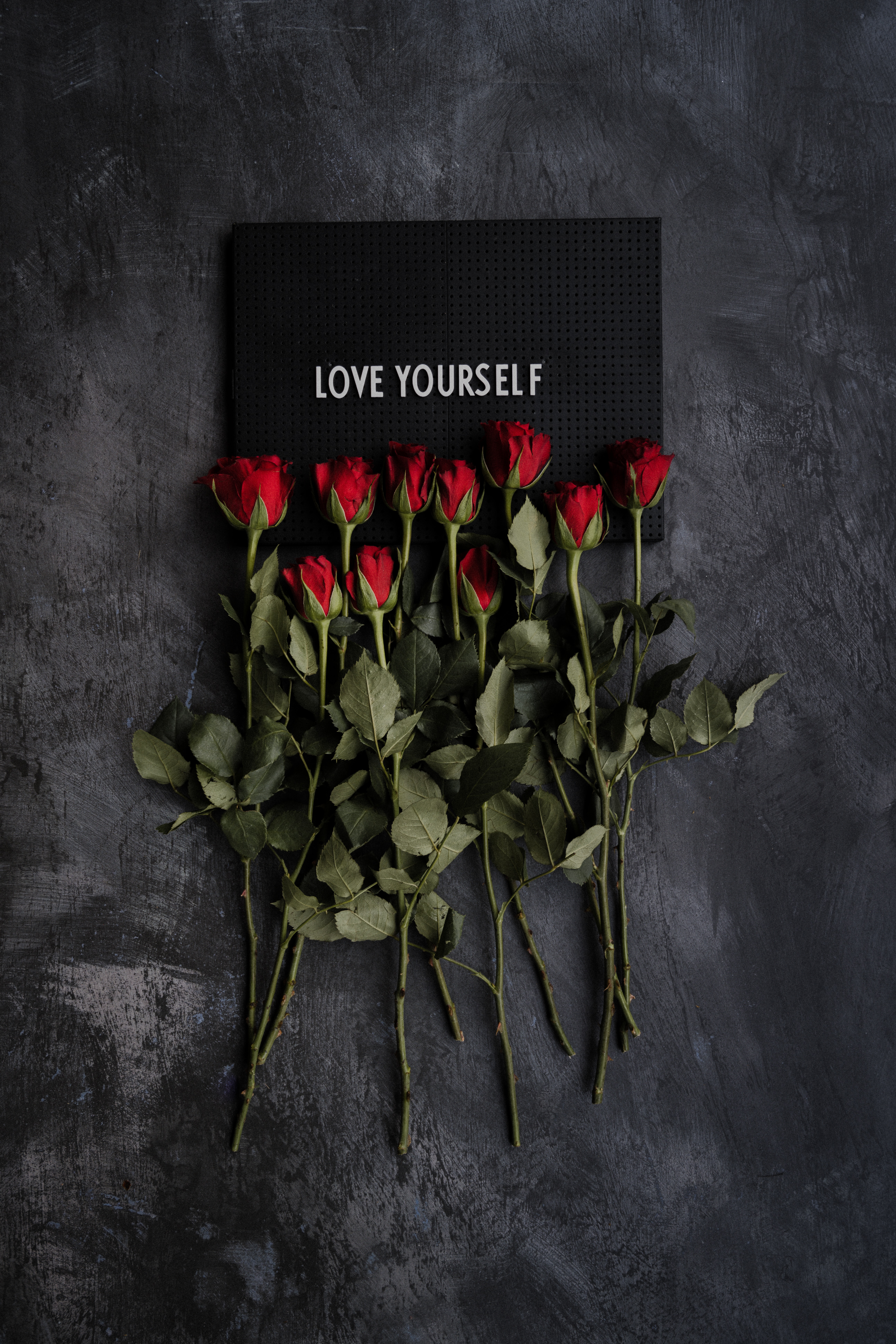 roses, motivation, words, flowers, inscription, nameplate, plate iphone wallpaper