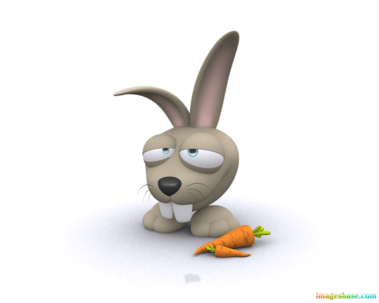 7154 download wallpaper funny, rabbits, pictures, white screensavers and pictures for free